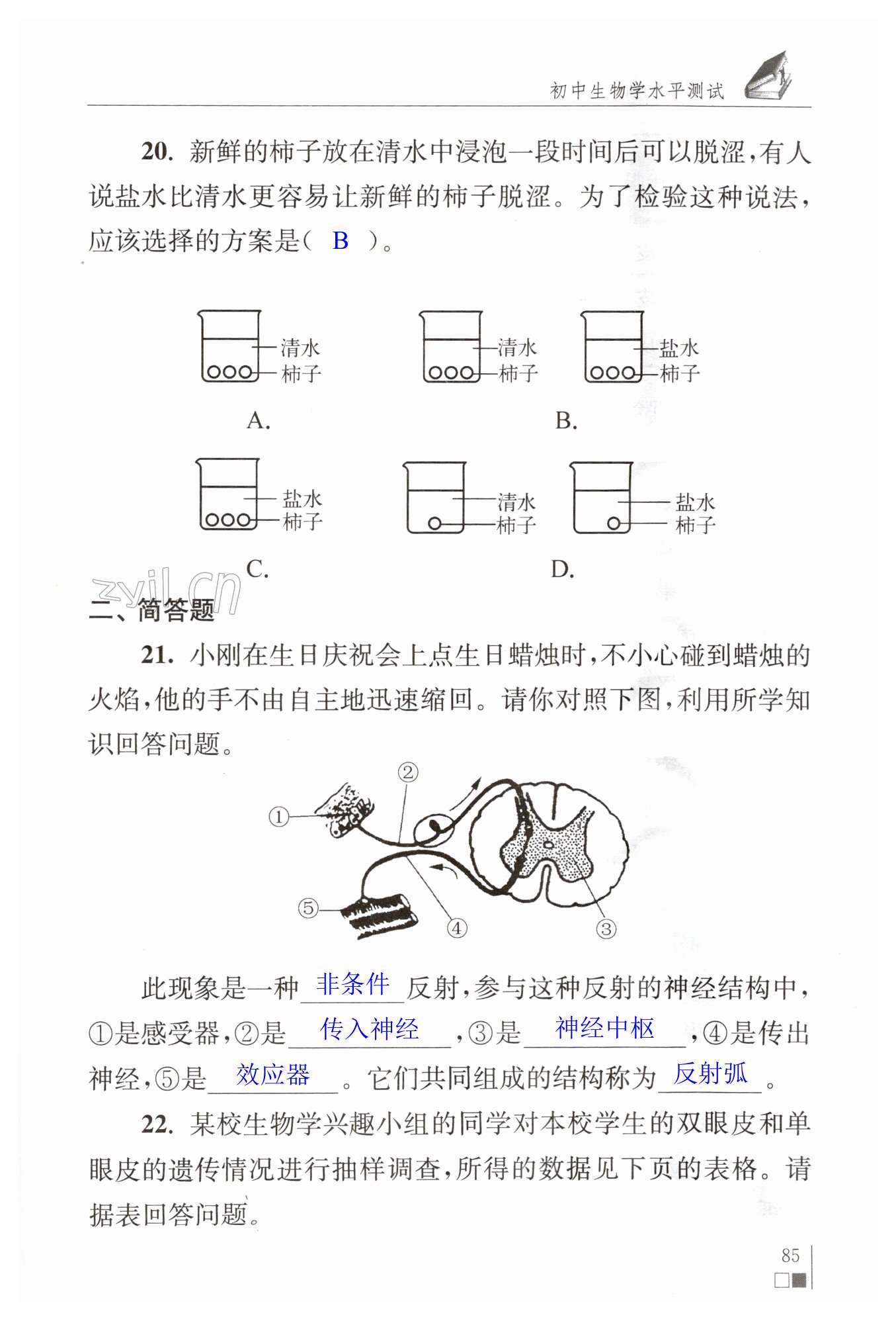 第85頁