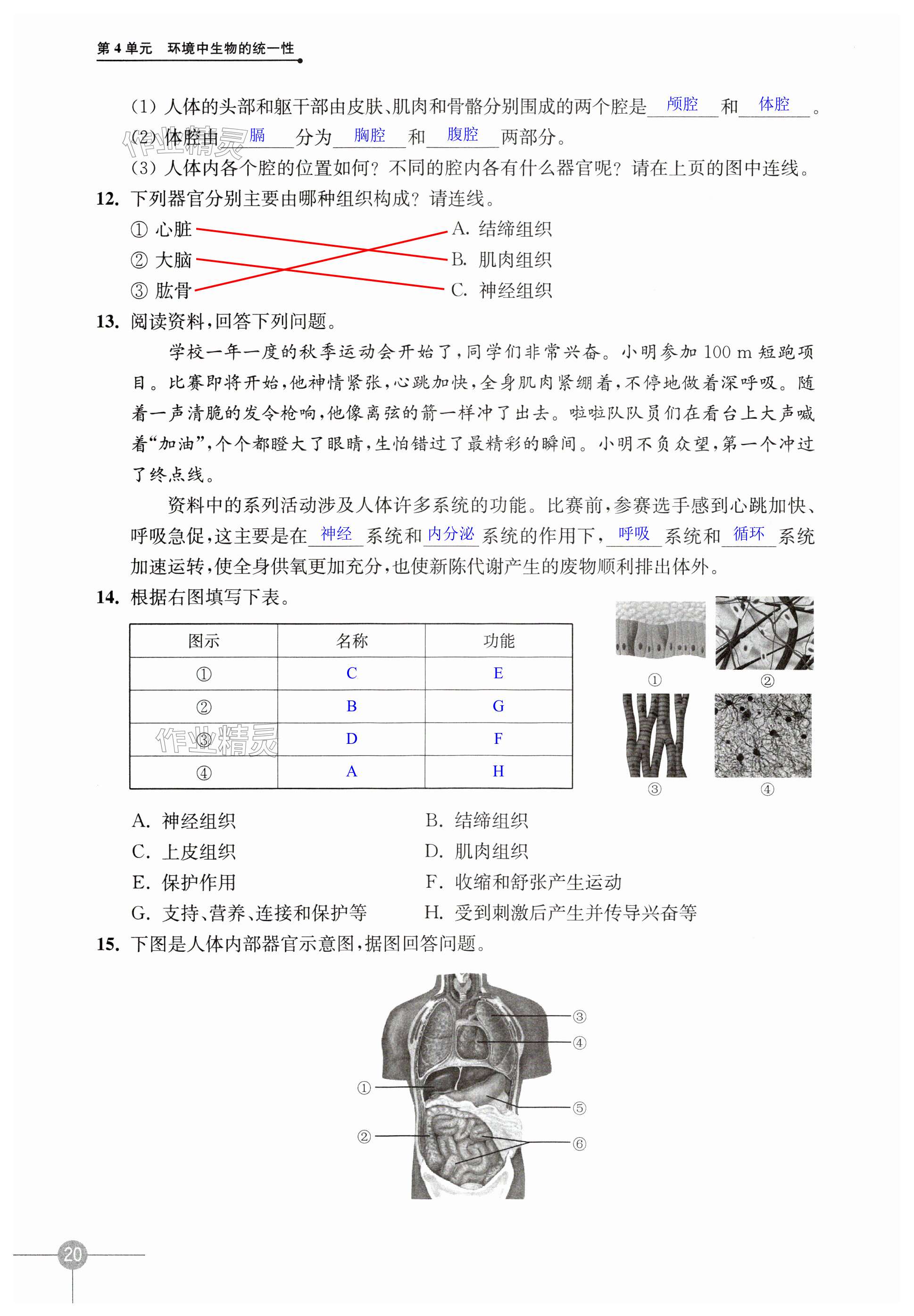 第20頁(yè)