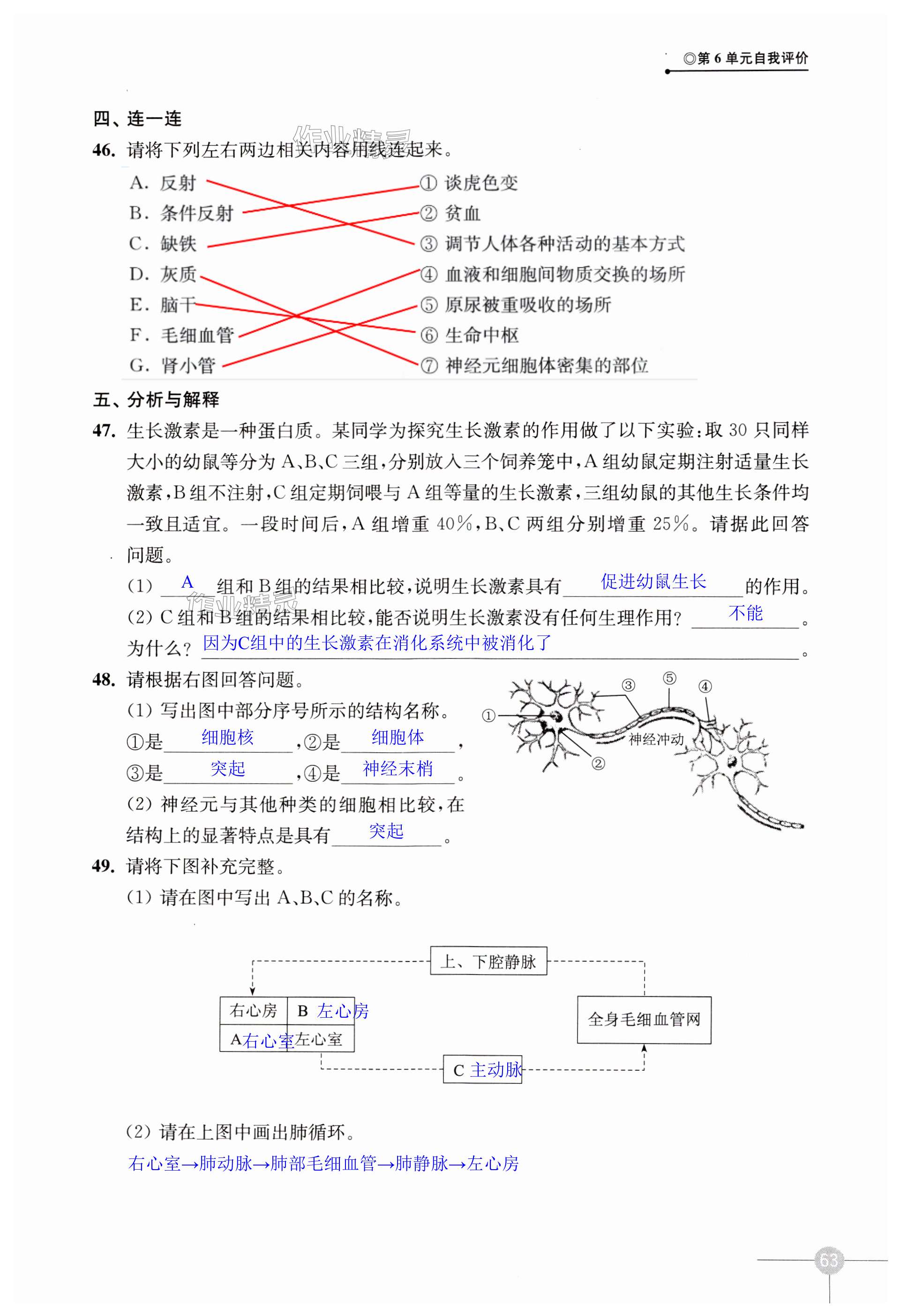 第63頁(yè)