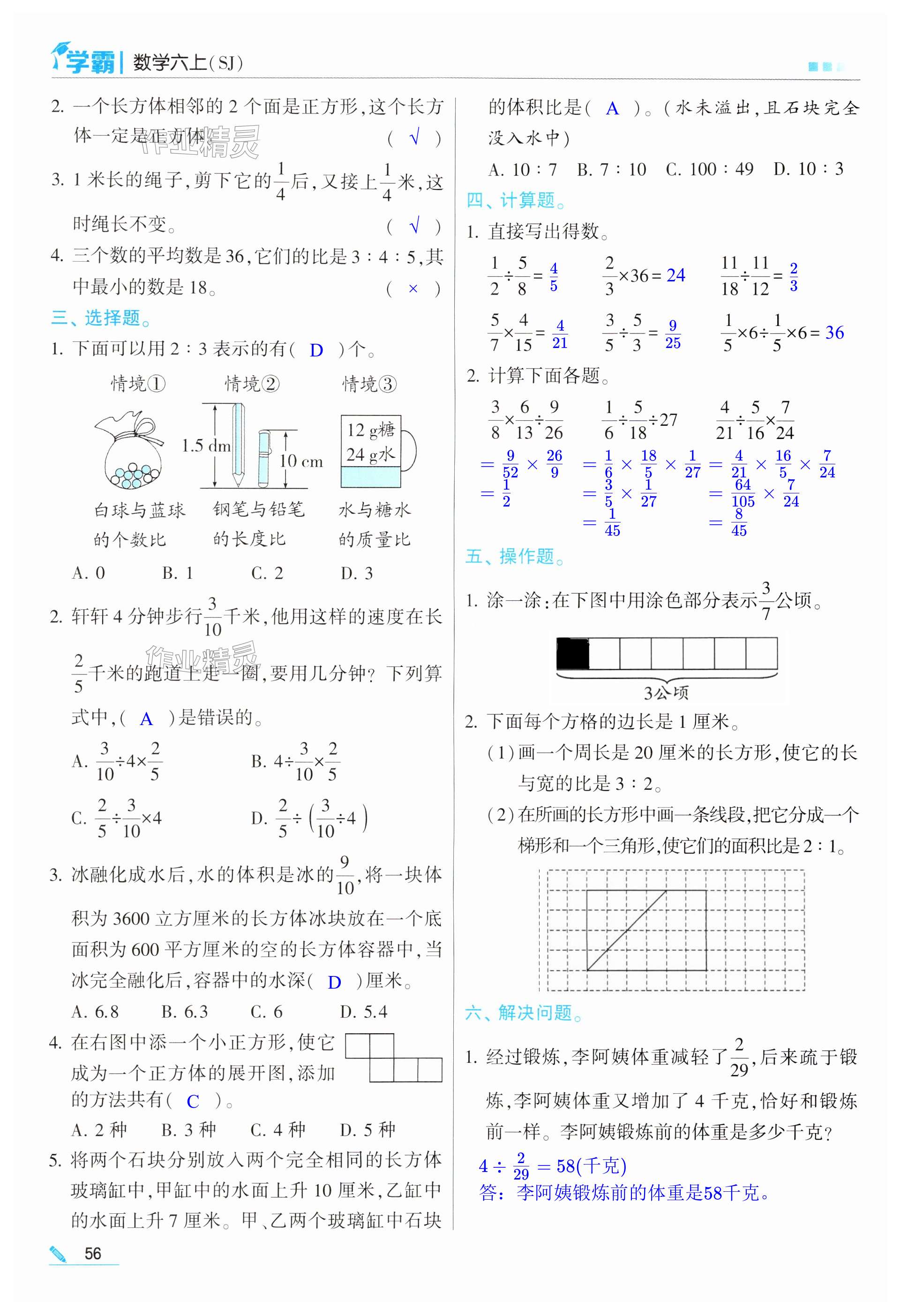 第56頁