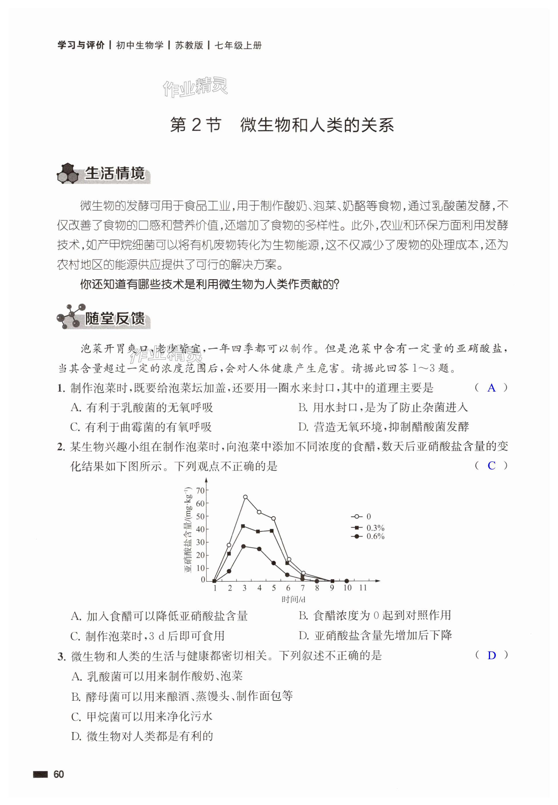 第60頁