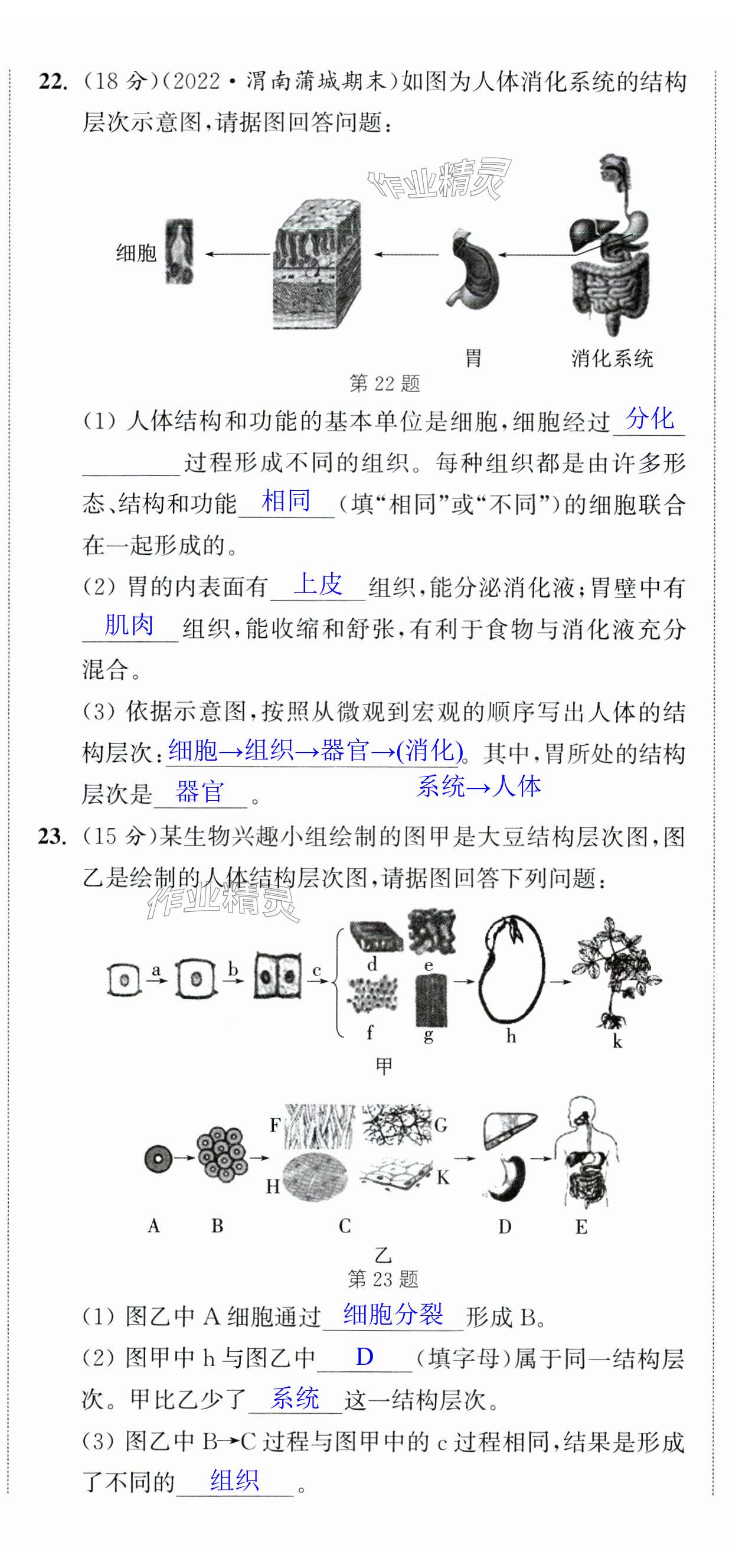 第11頁(yè)