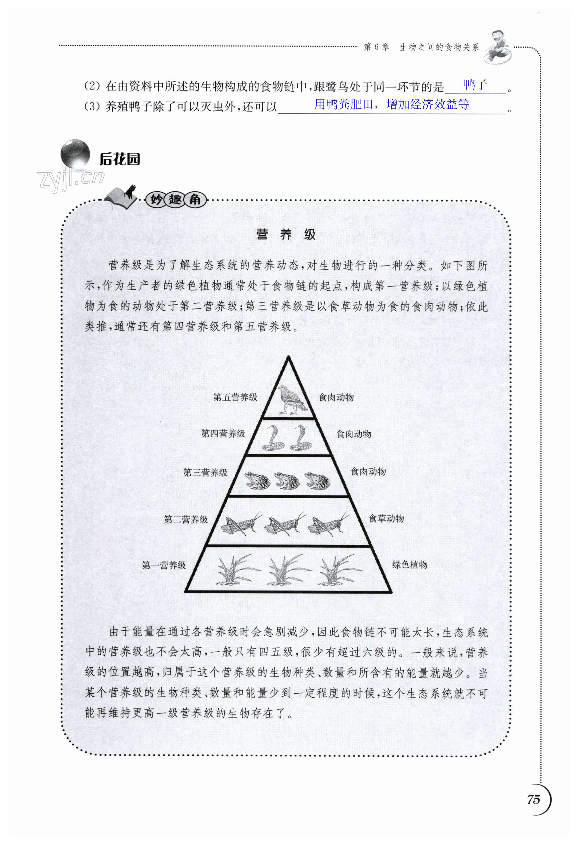 第75页
