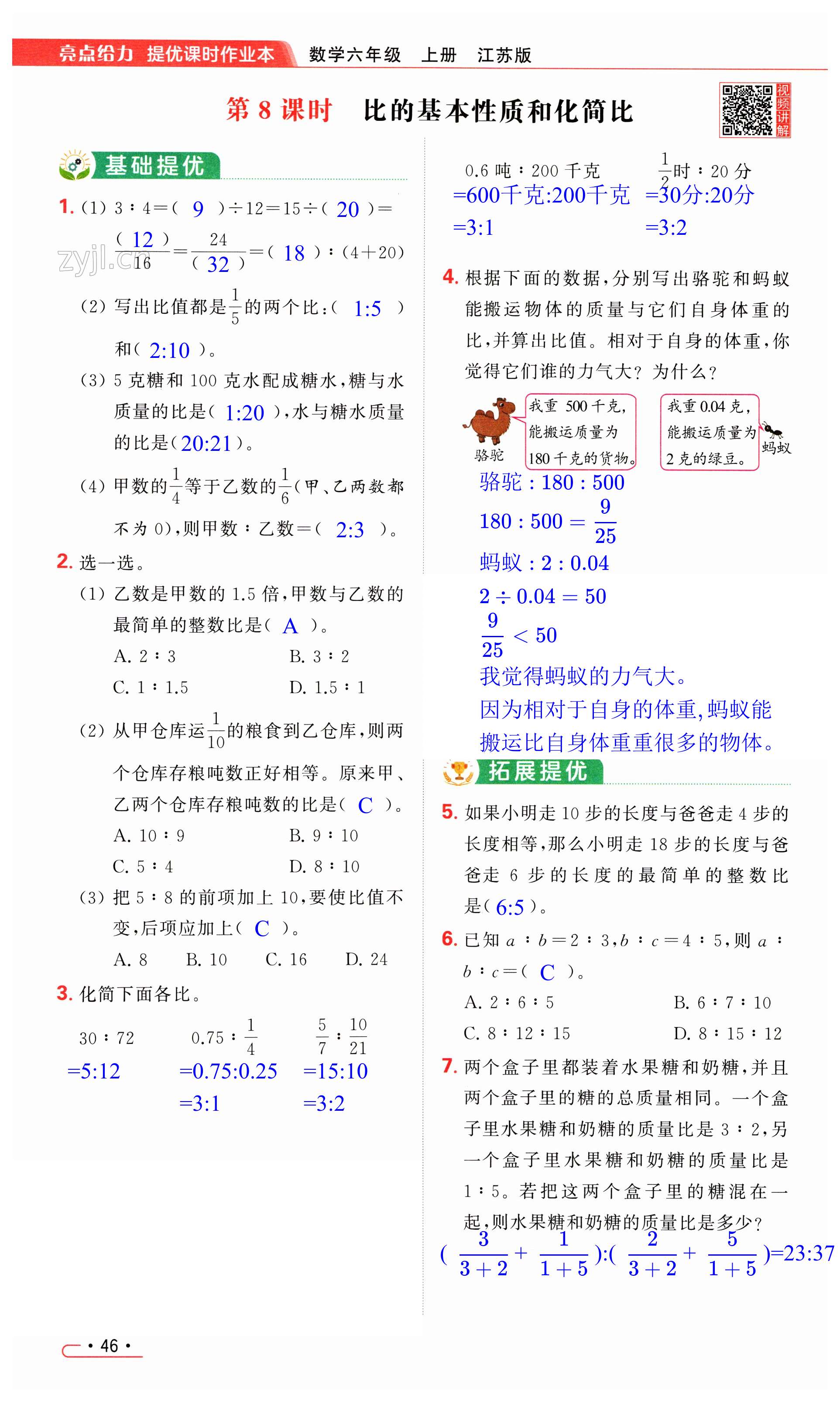 第46页