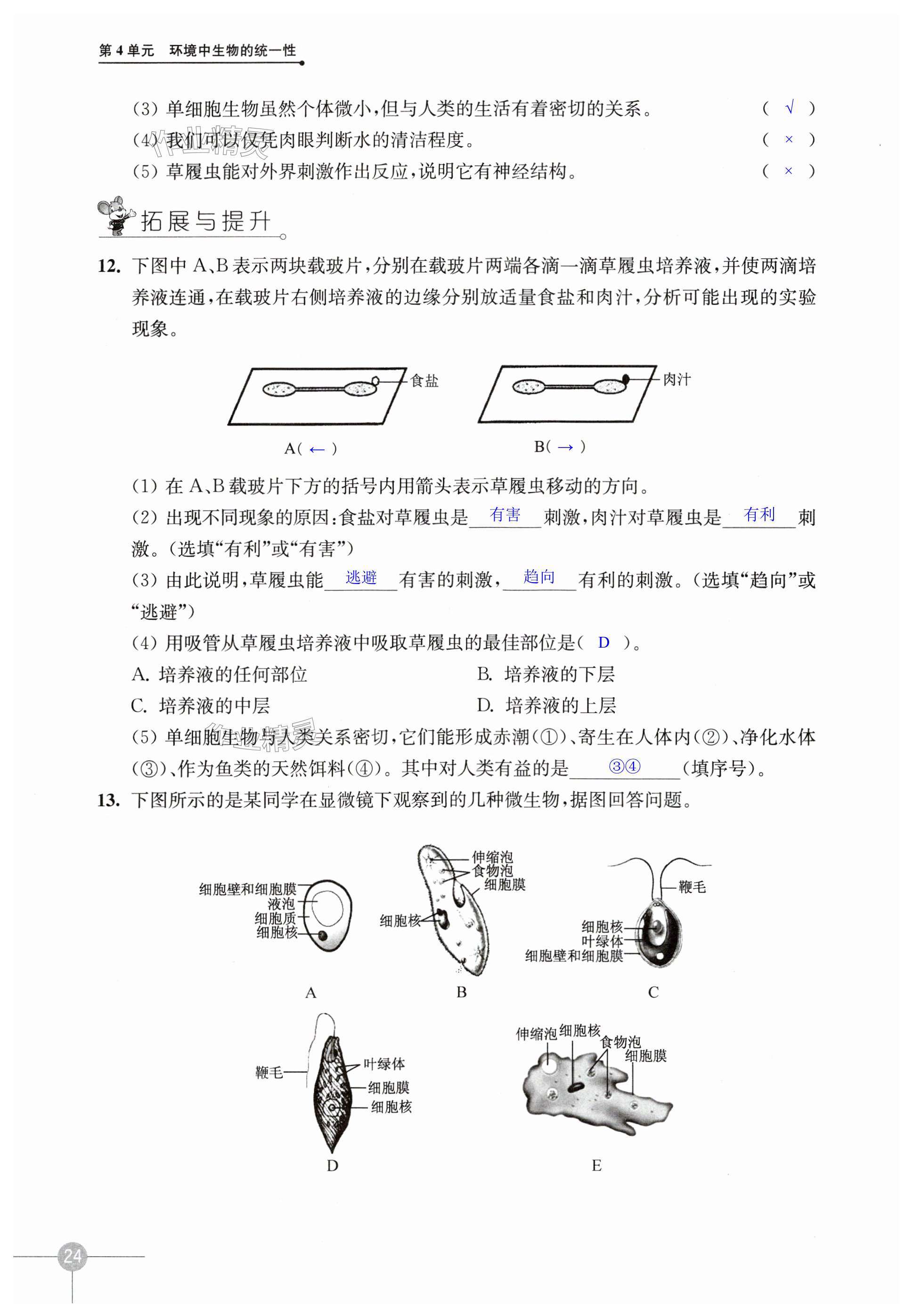 第24頁