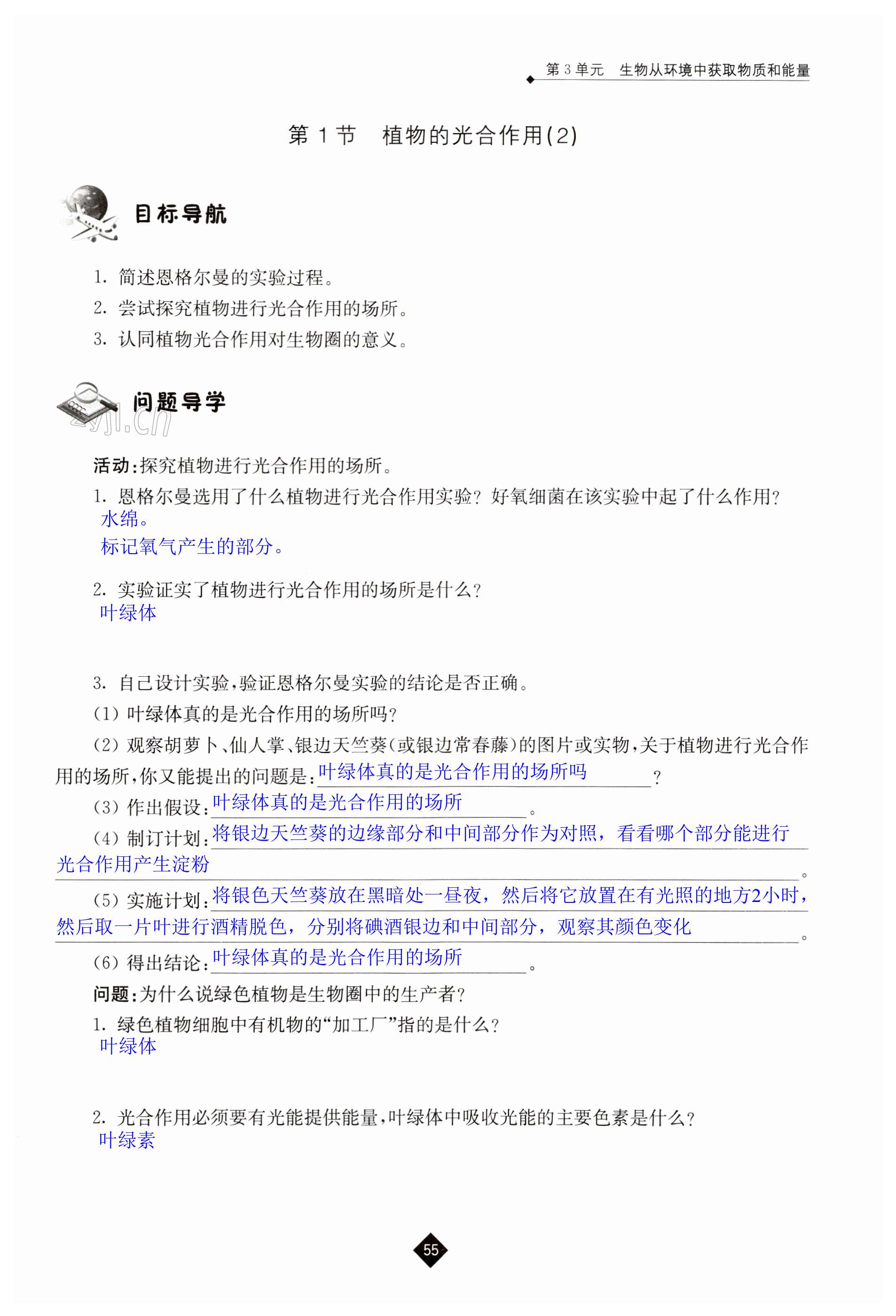 第55页