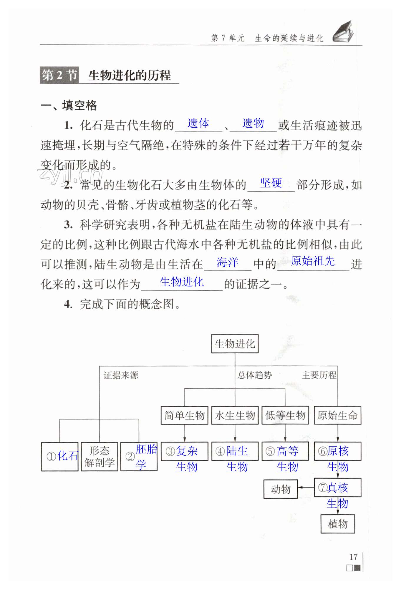 第17頁