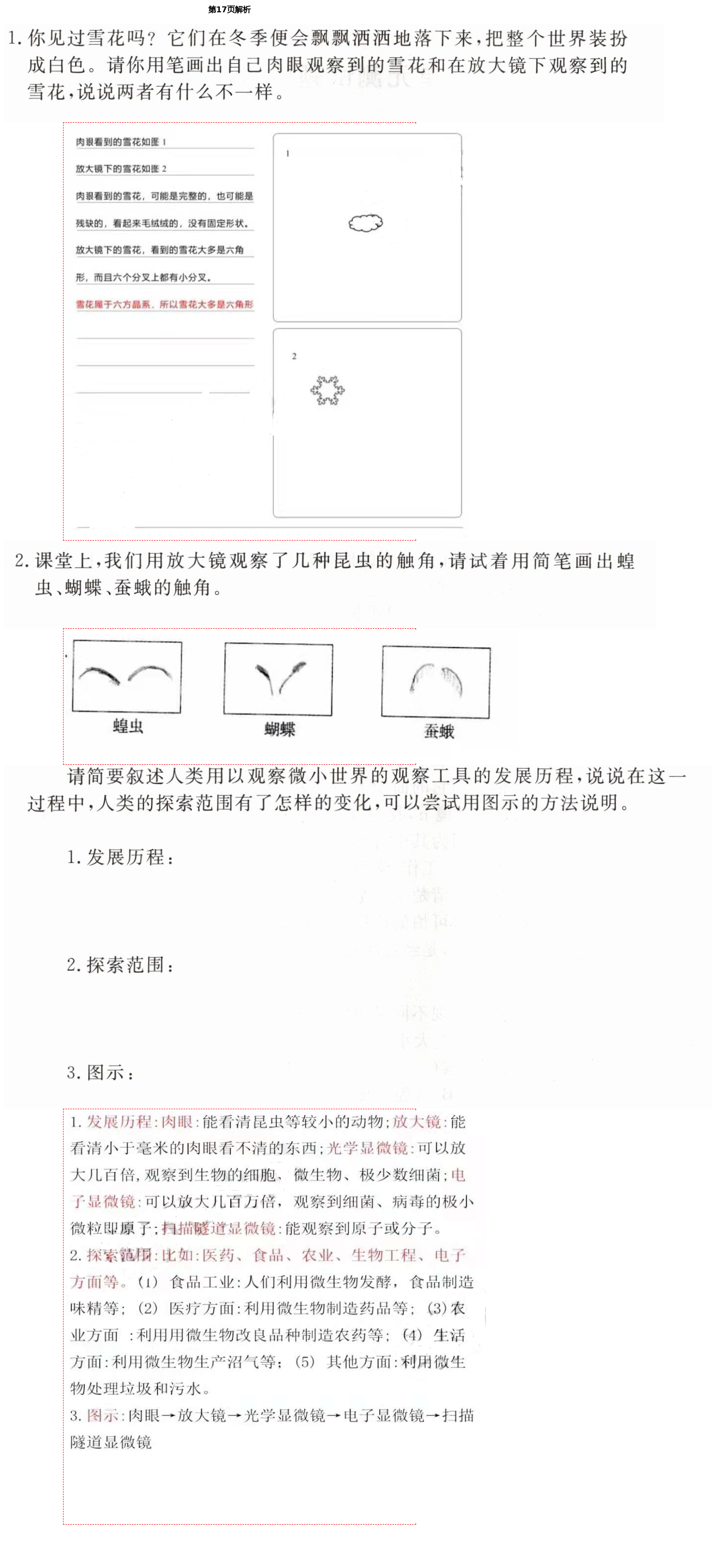 2021年基本功訓(xùn)練六年級(jí)科學(xué)下冊(cè)教科版A版 第17頁