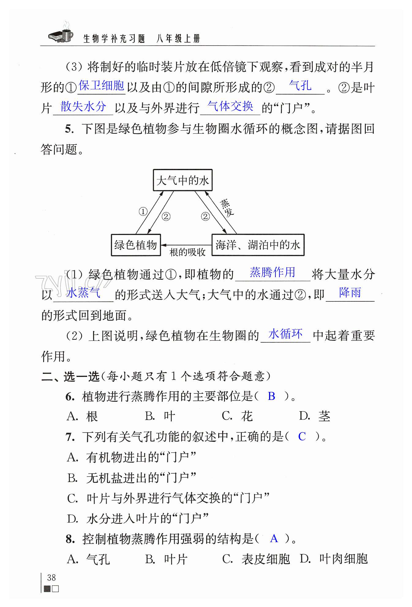 第38頁