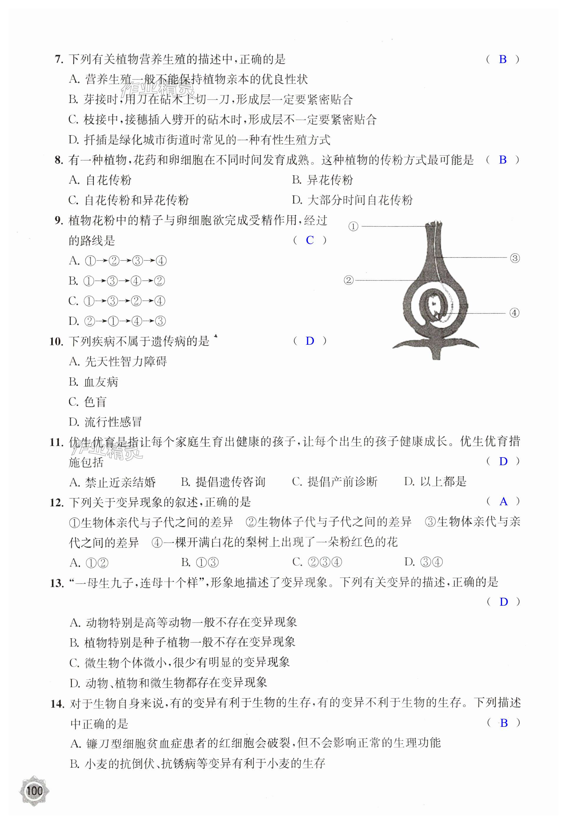 第100頁