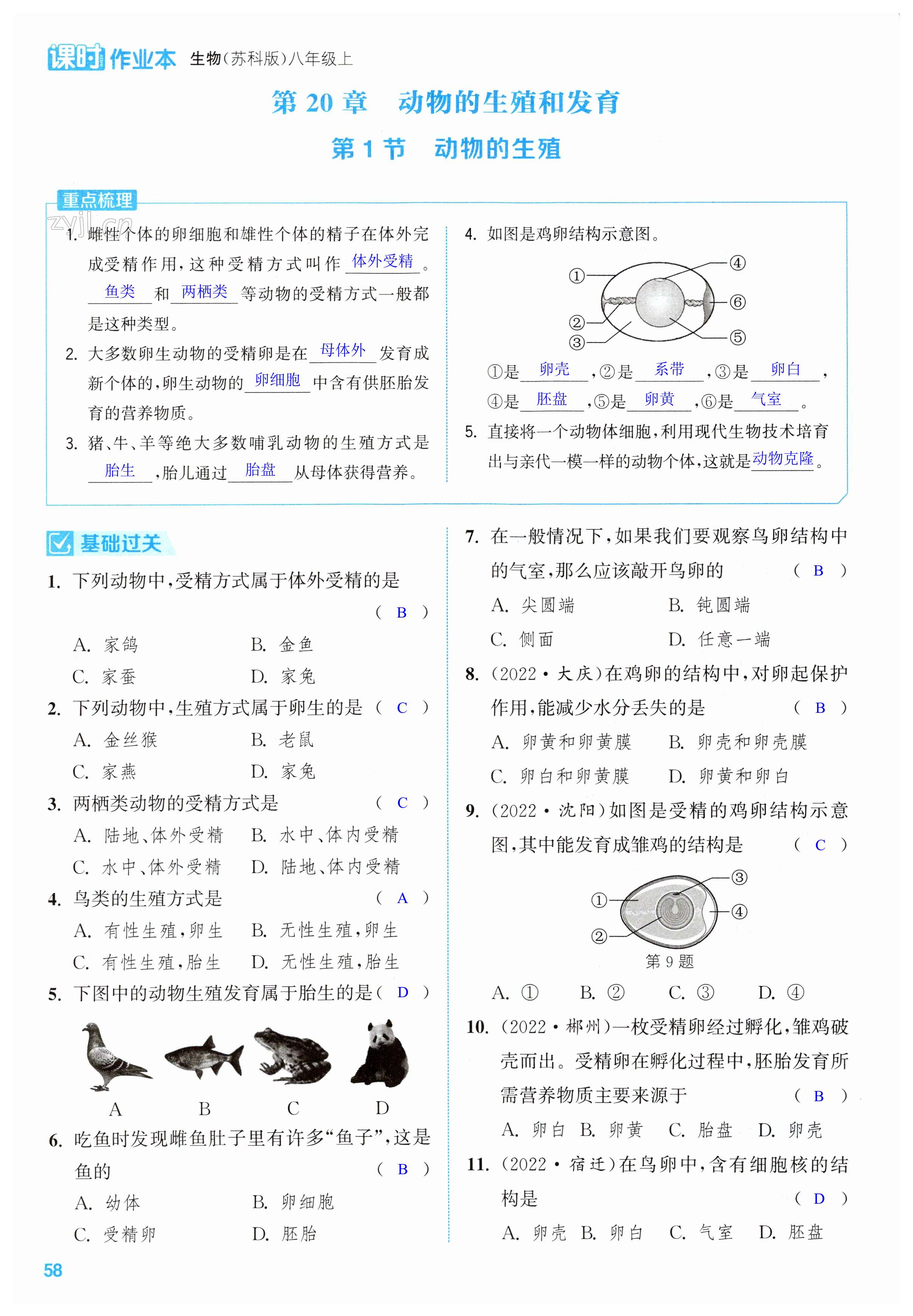 第58頁(yè)