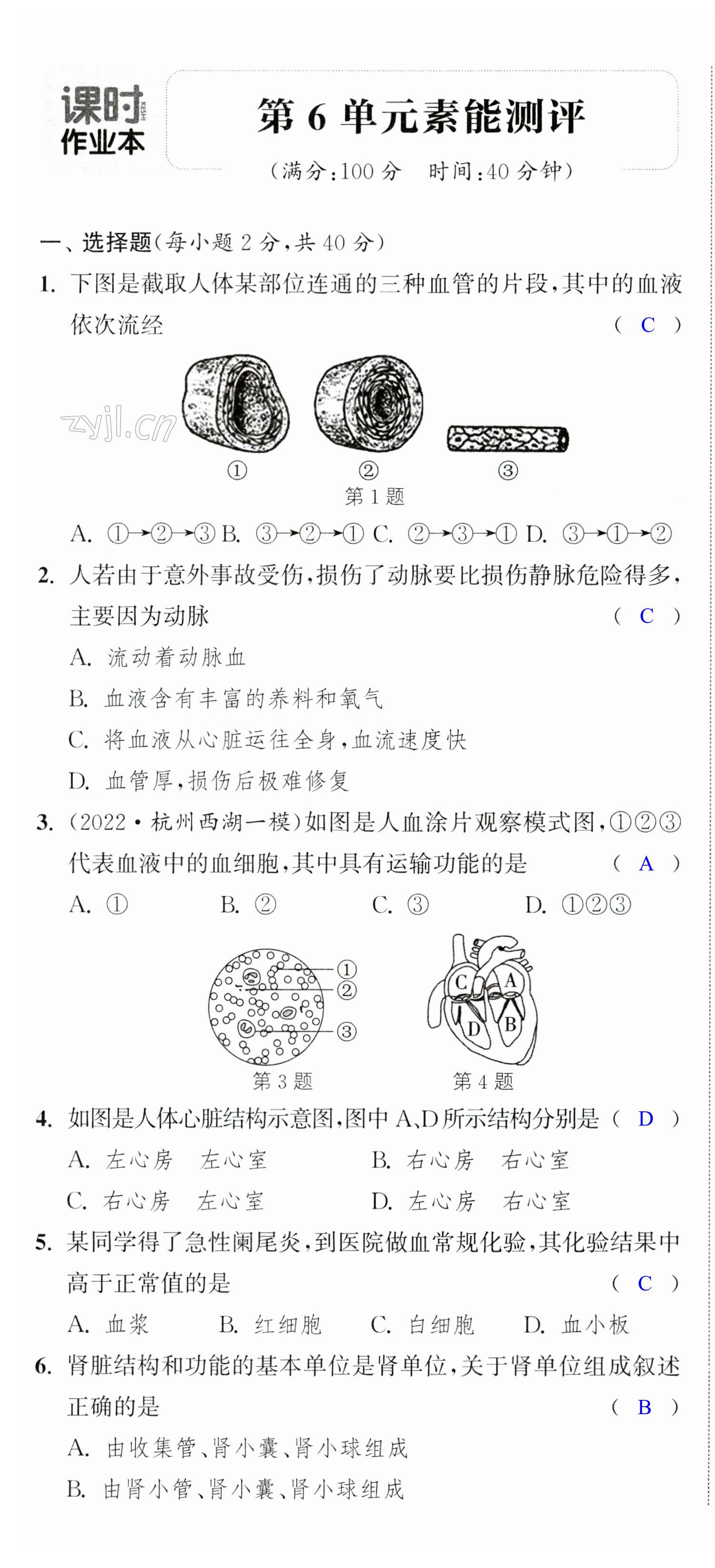 第19頁