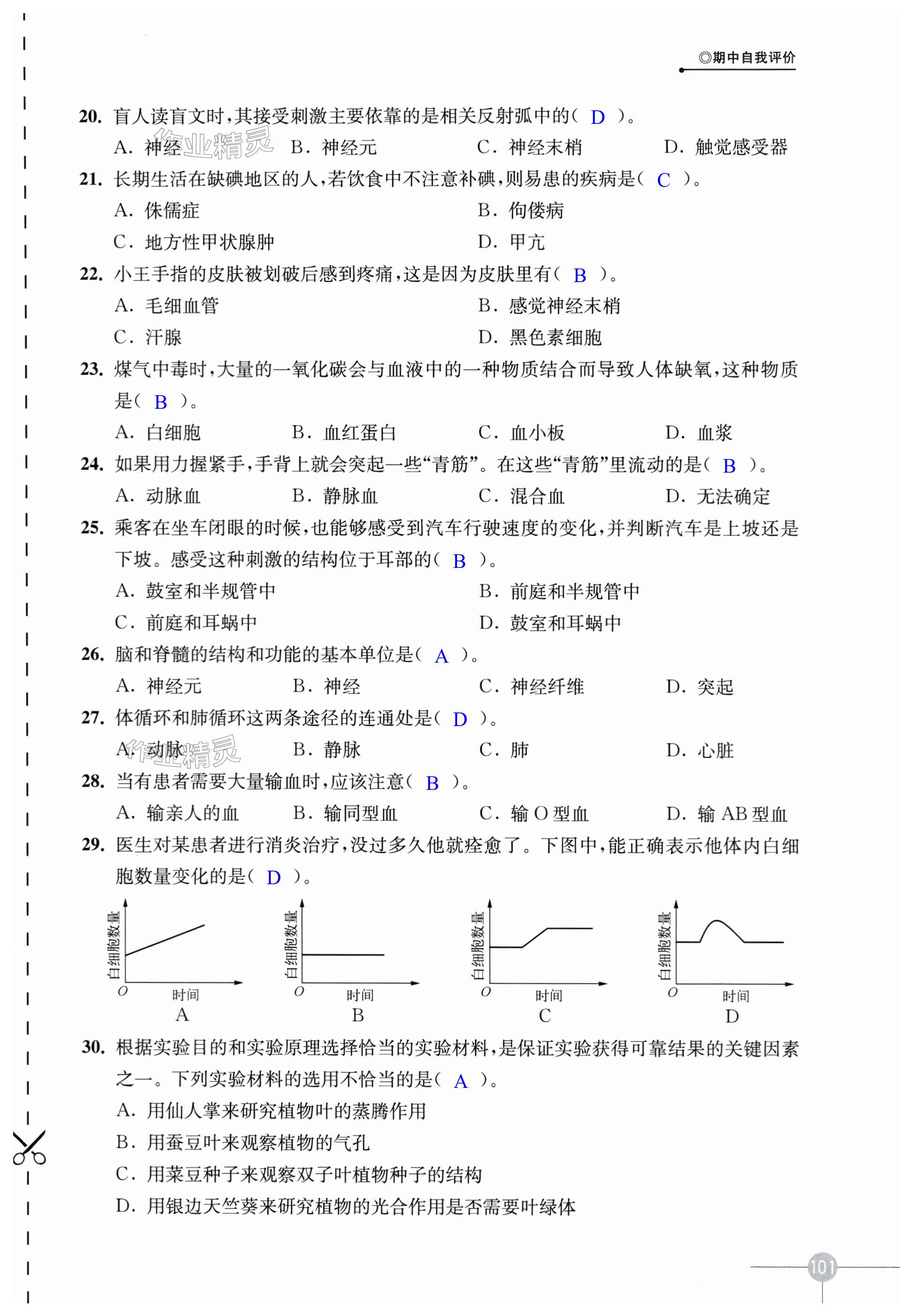 第101页