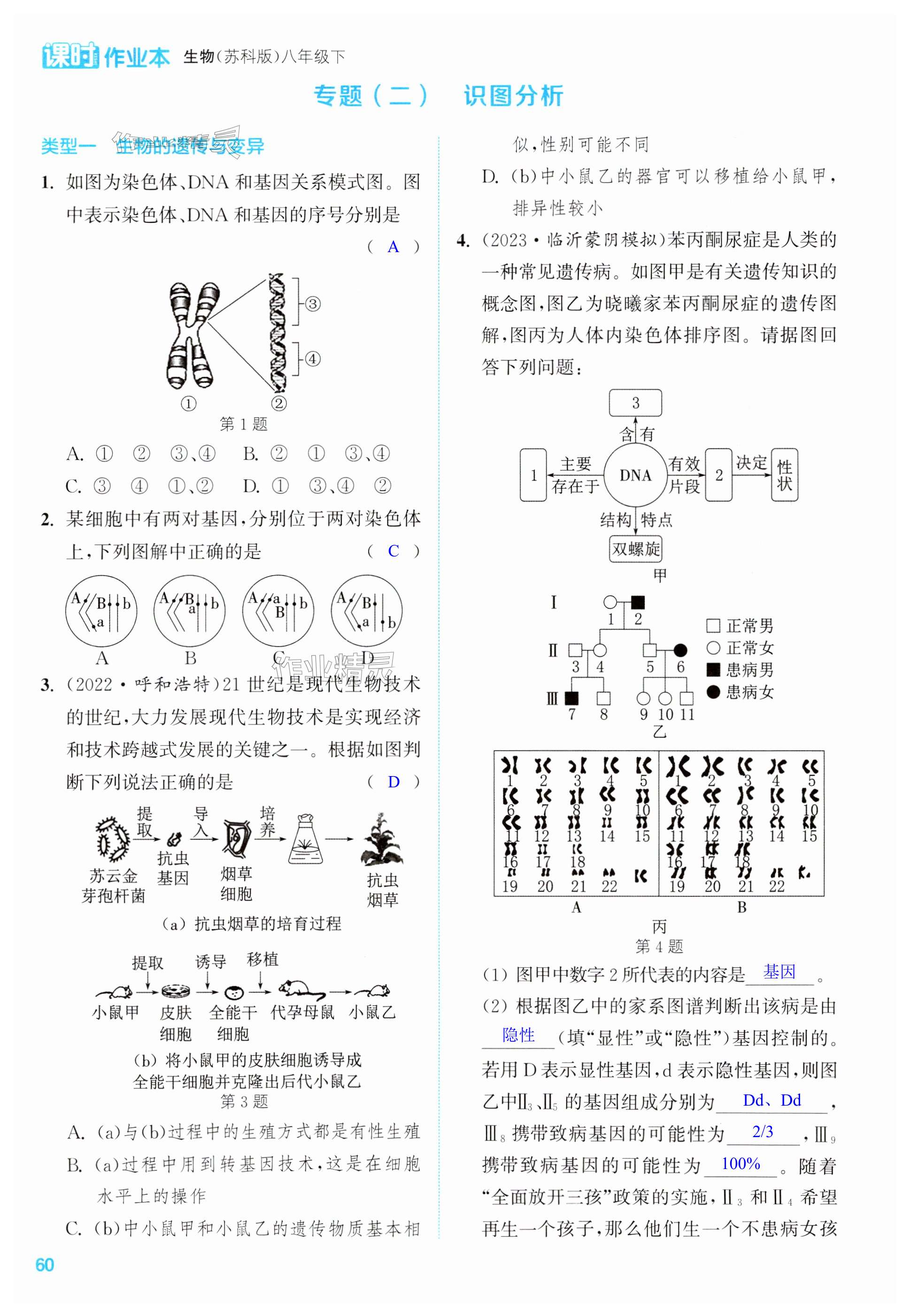 第60頁