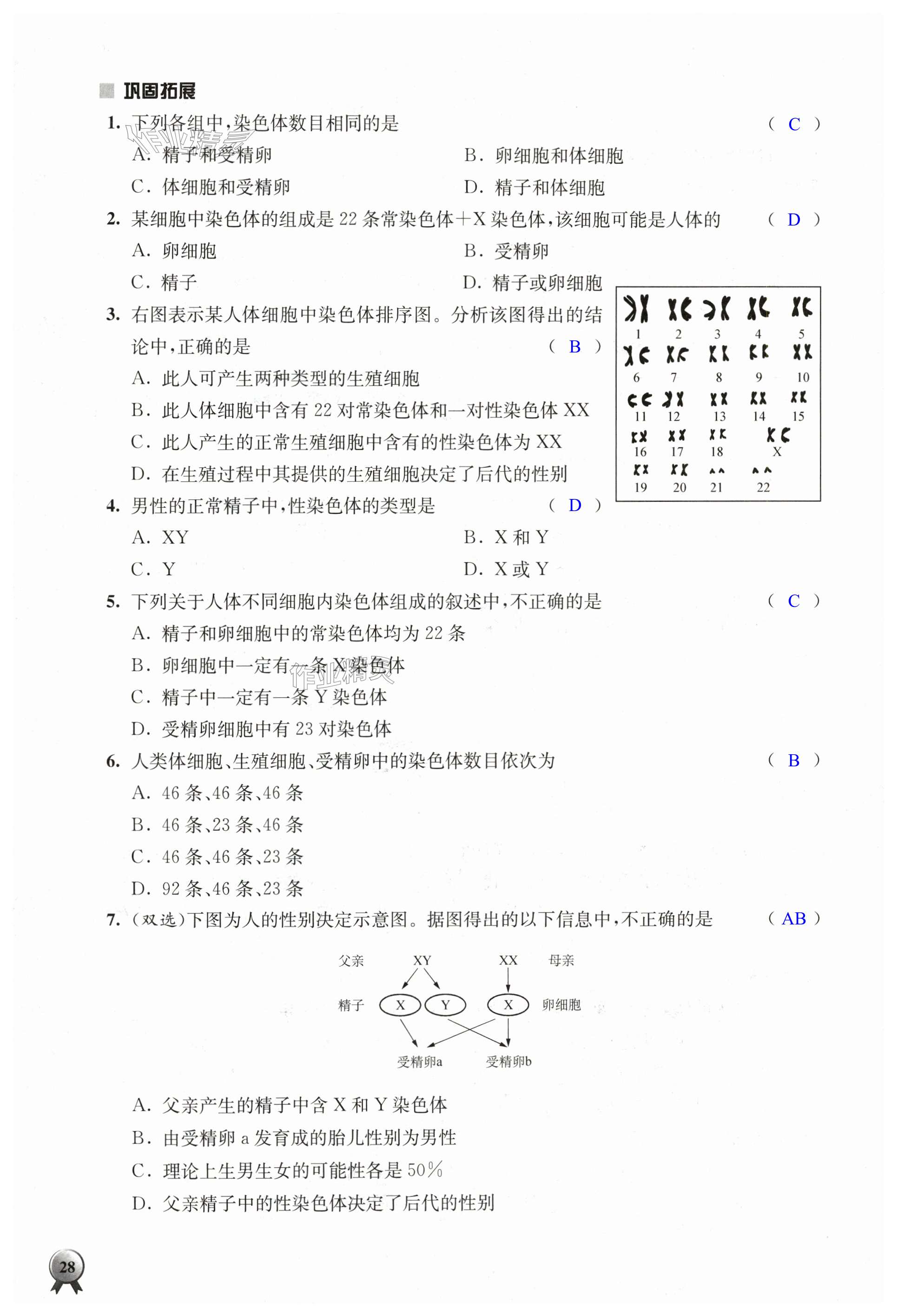 第28頁(yè)