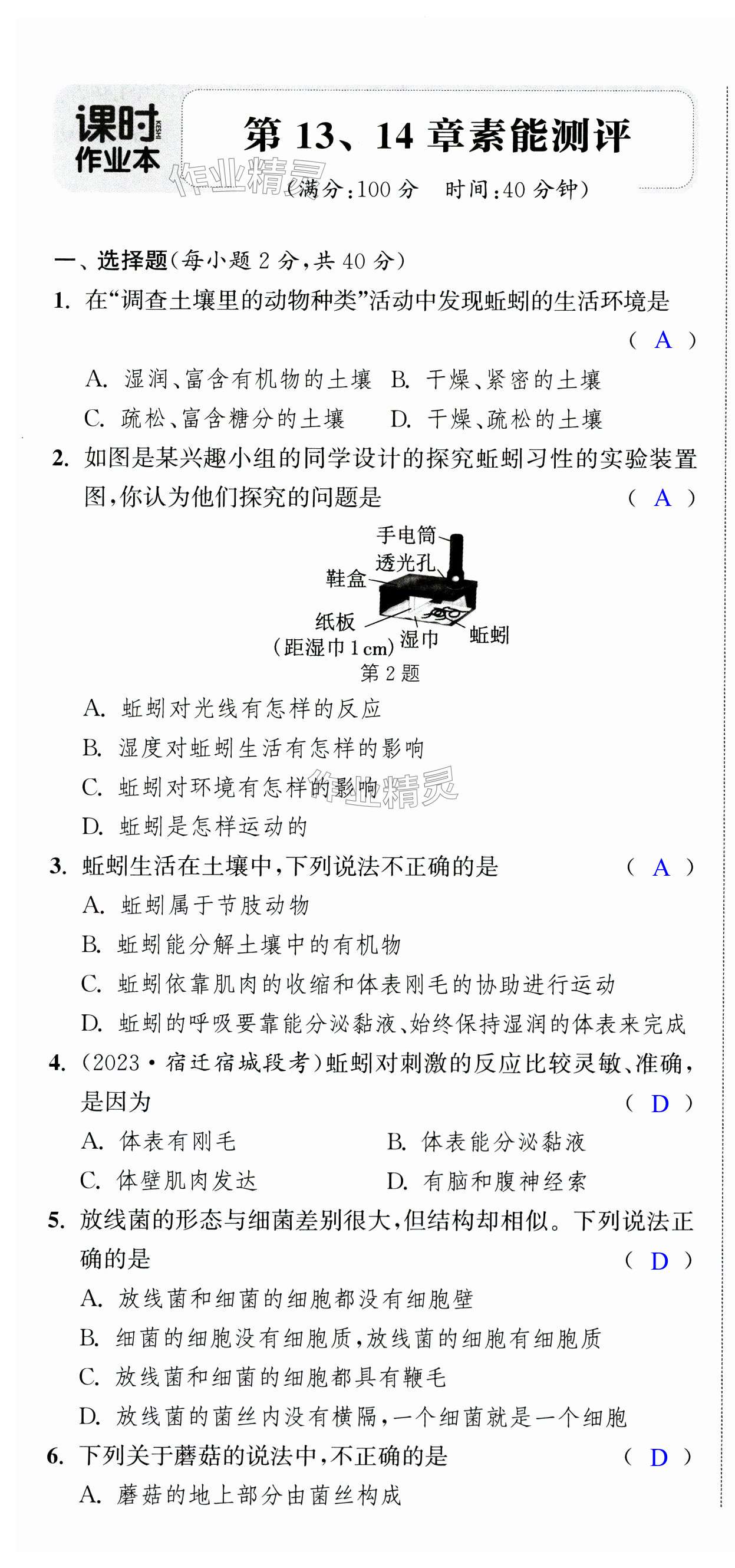 第31頁(yè)