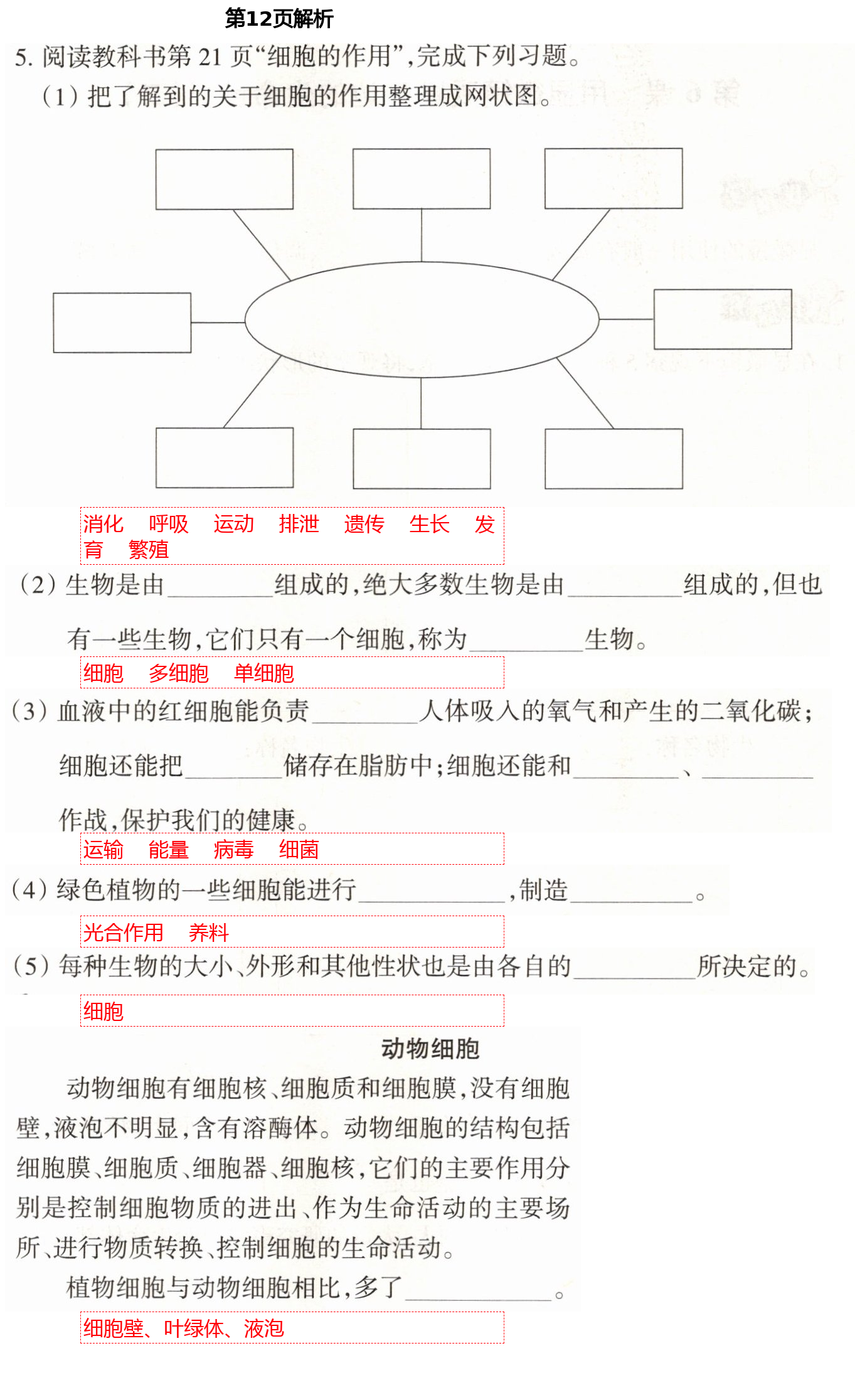 2021年導(dǎo)學(xué)新作業(yè)六年級(jí)科學(xué)下冊(cè)教科版 第12頁