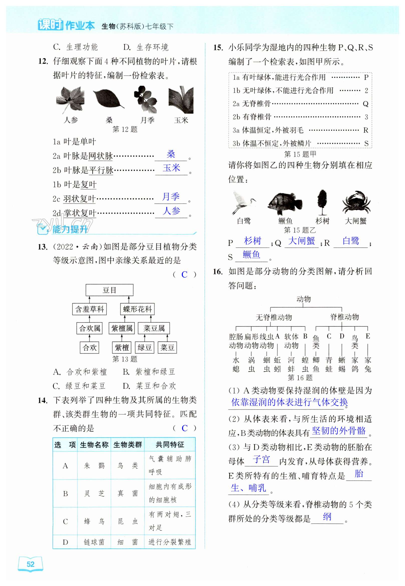 第52頁(yè)