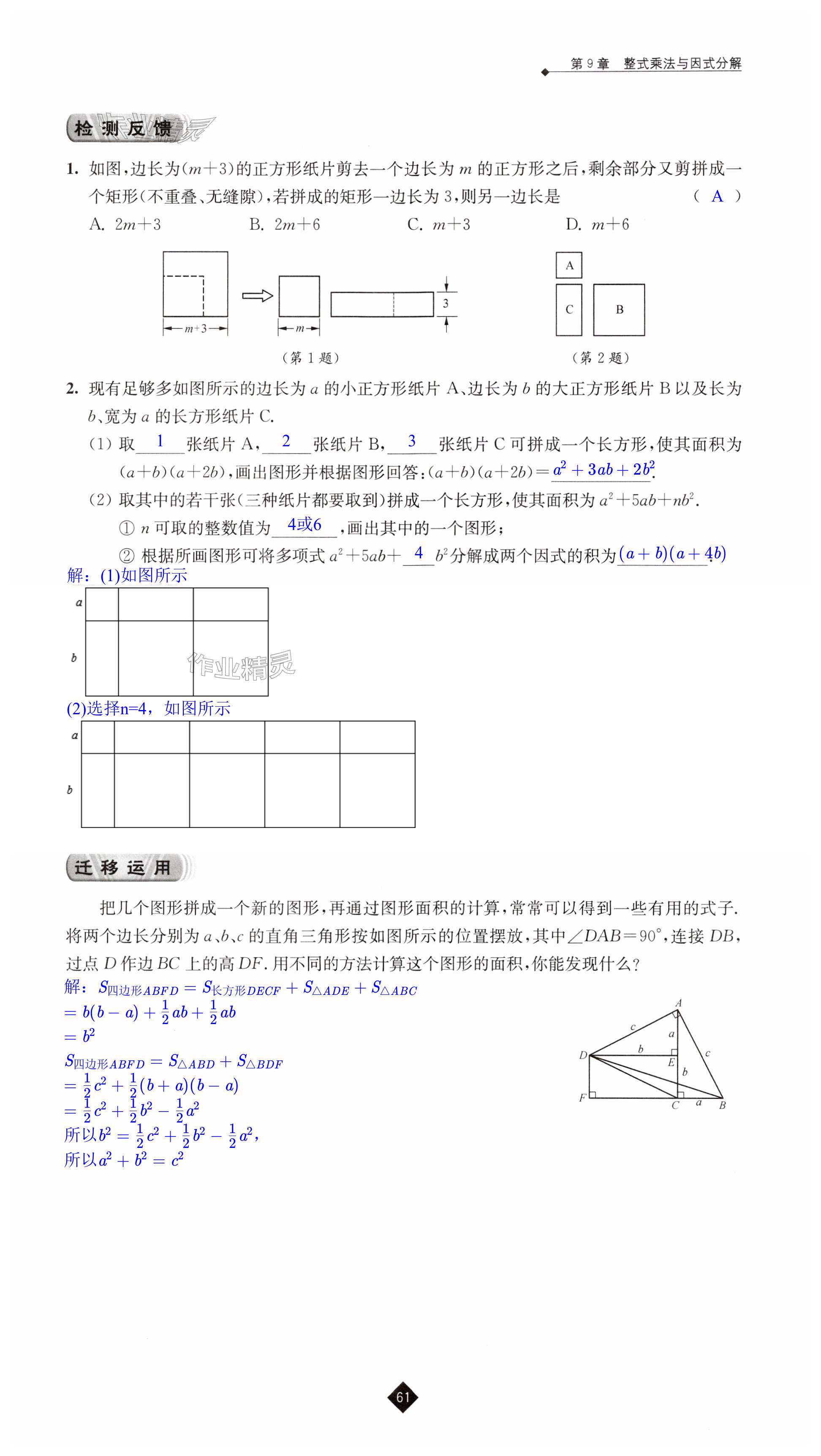 第61页