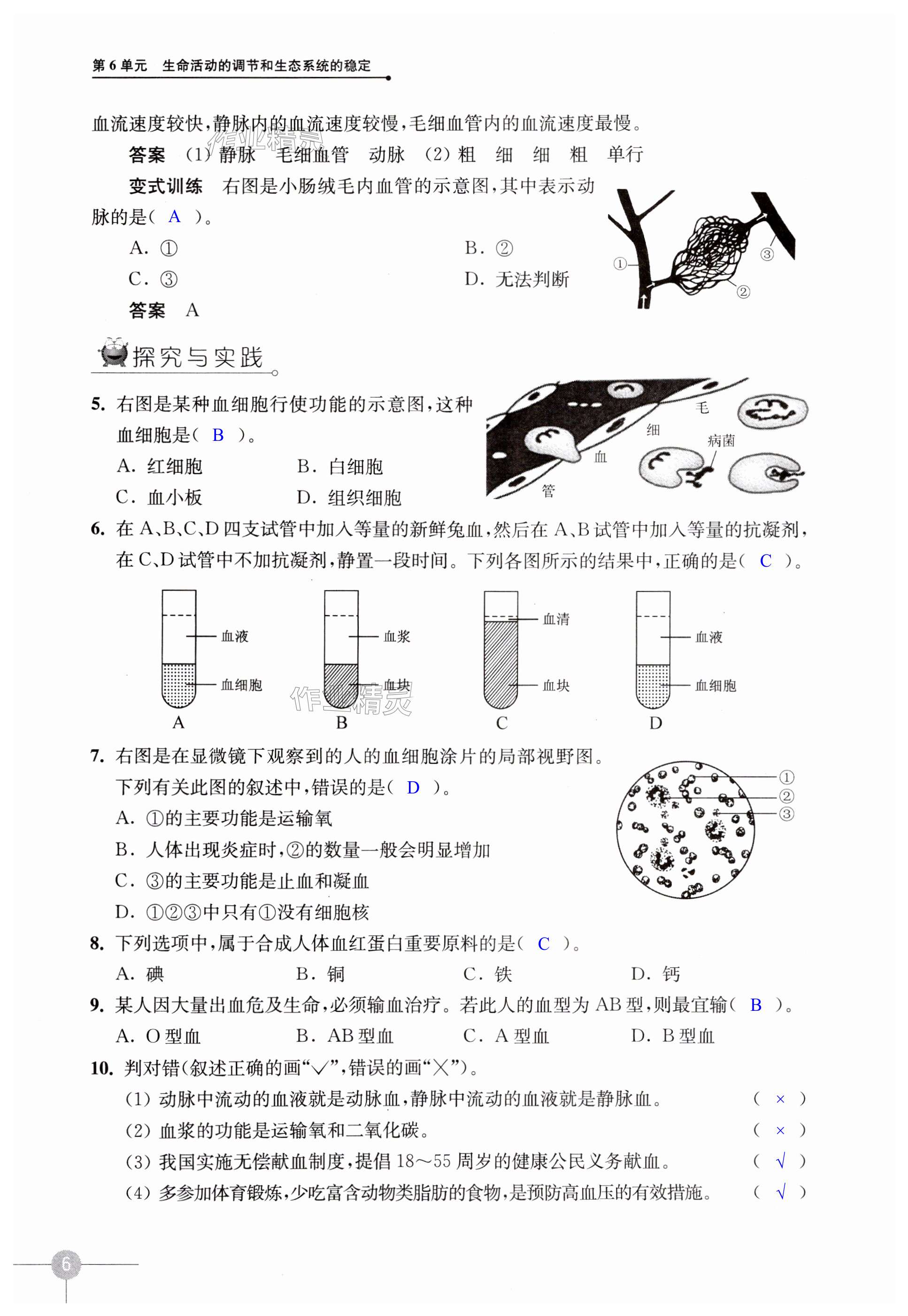 第6頁(yè)