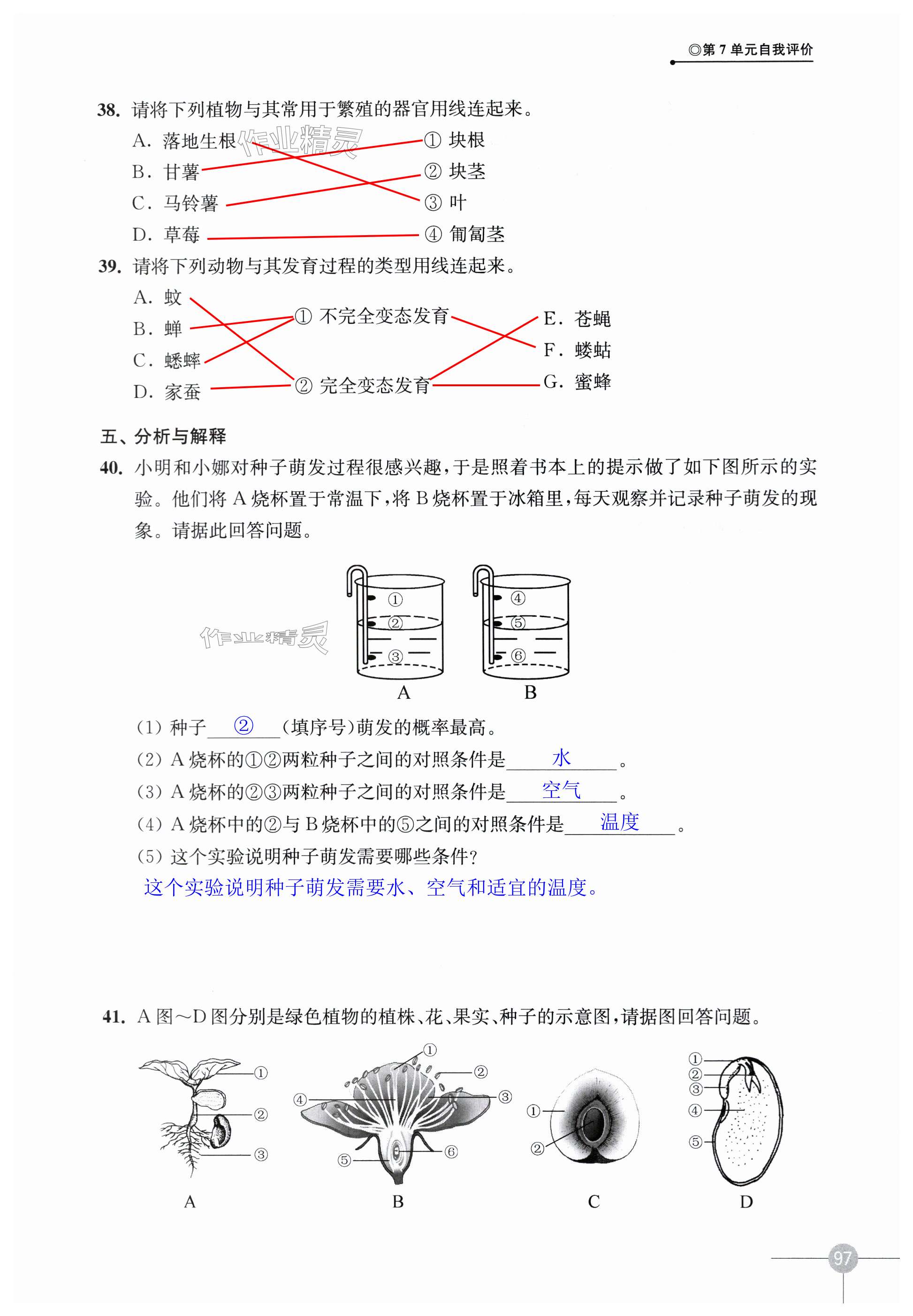 第97页