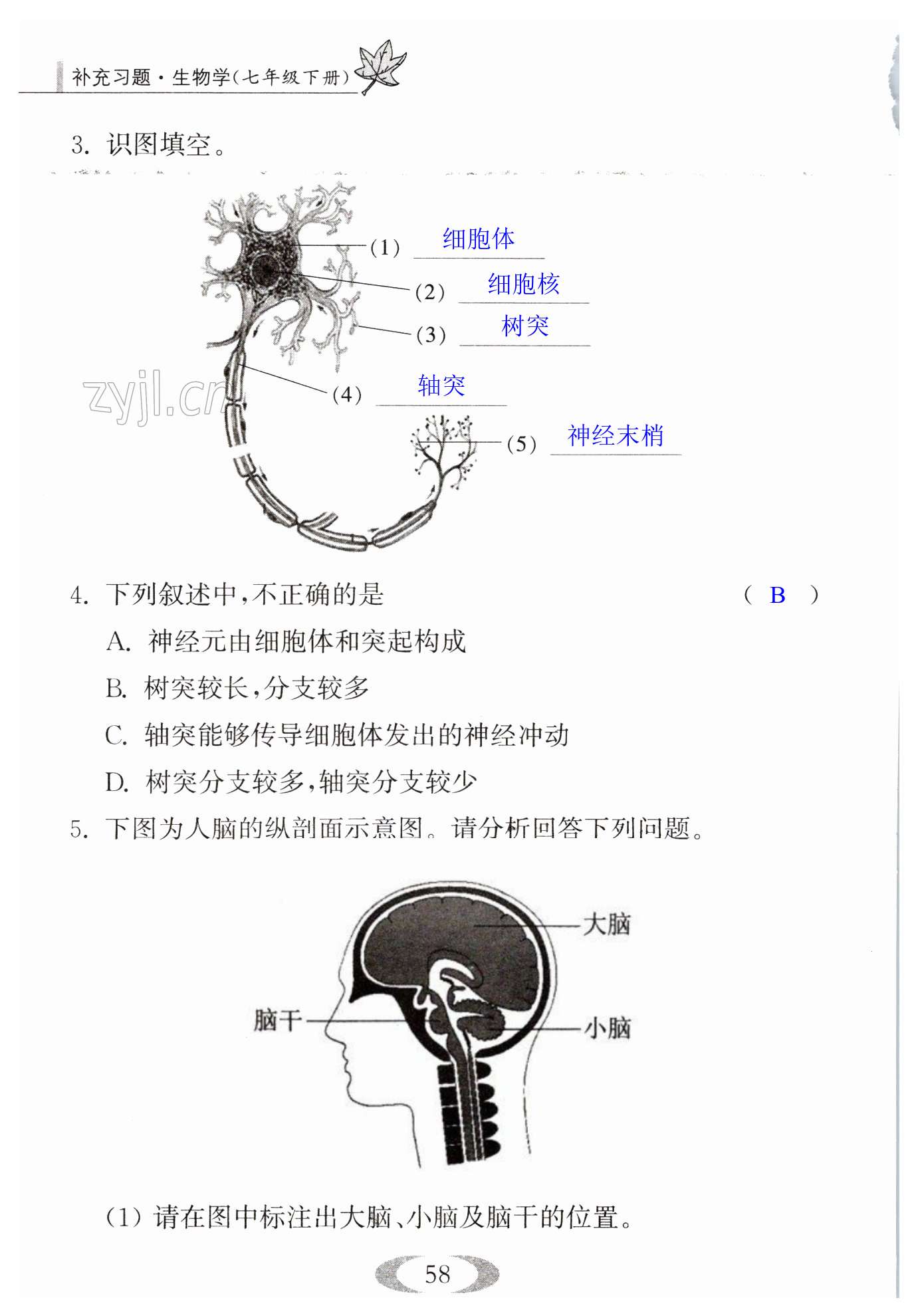 第58頁