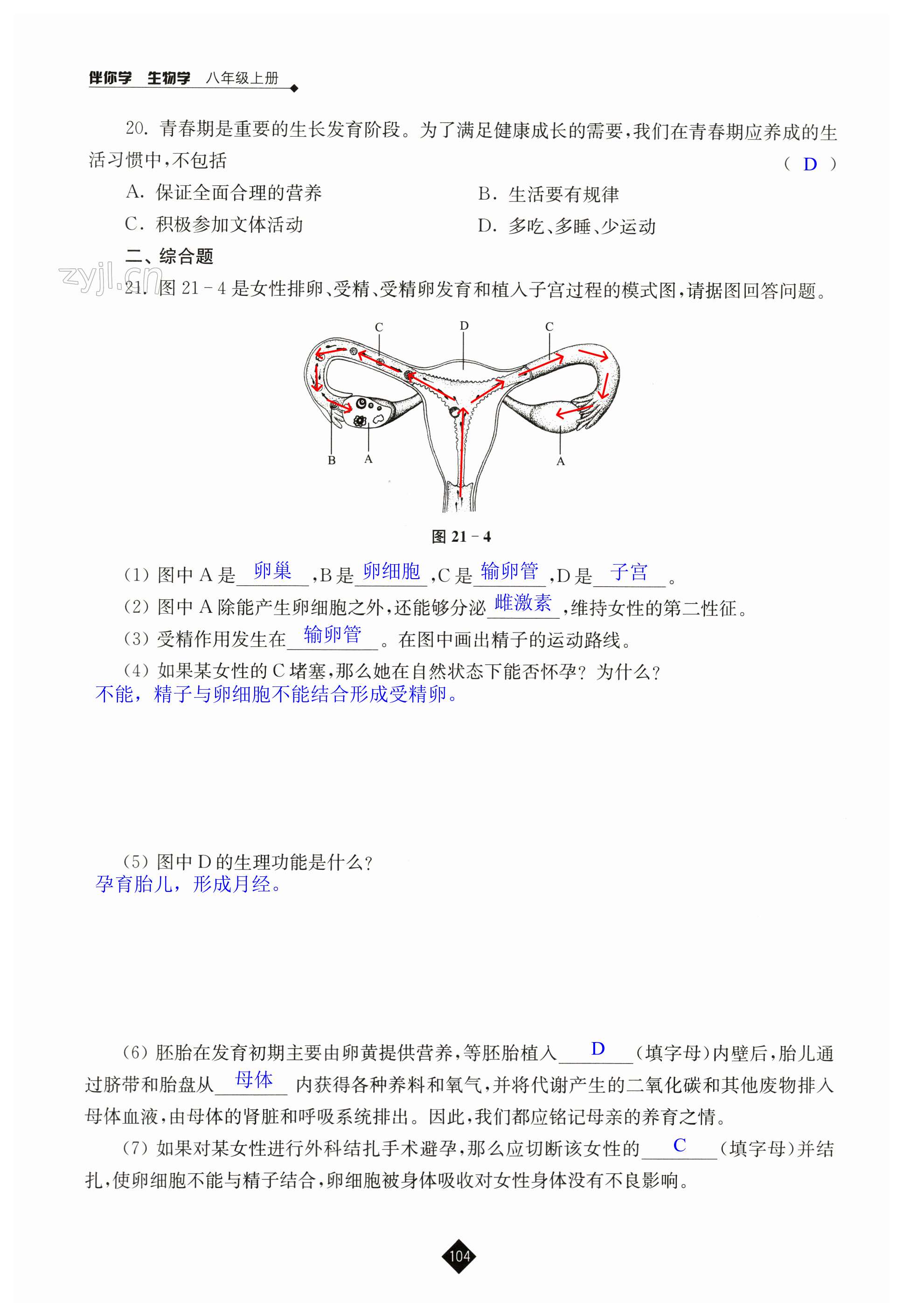 第104页