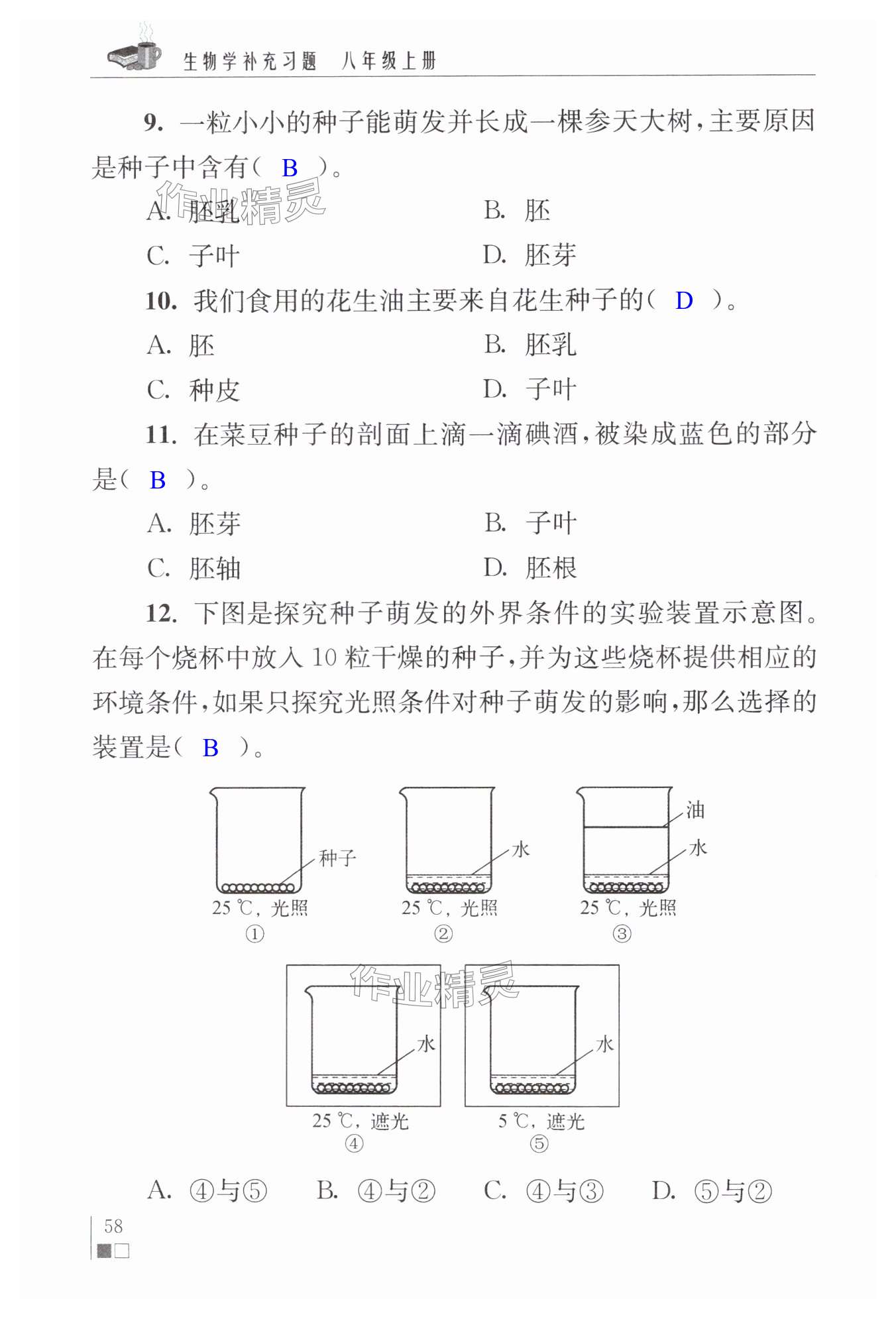 第58頁