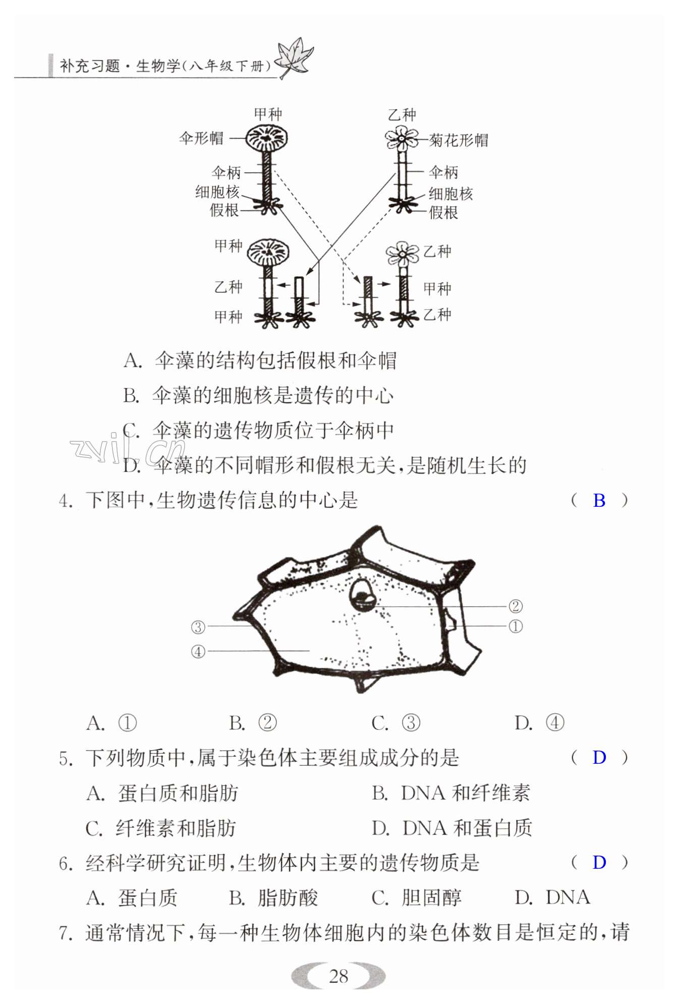 第28頁