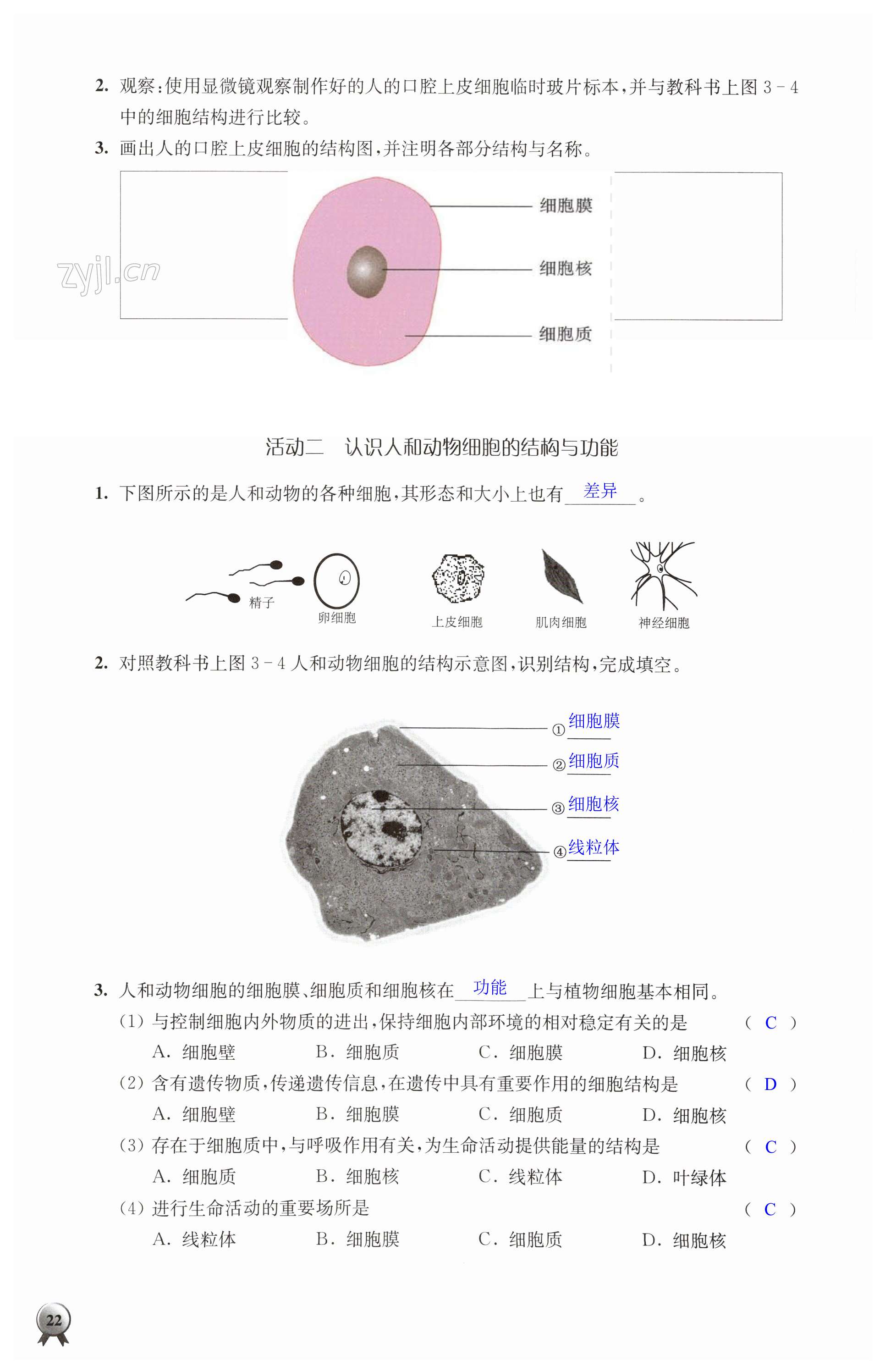 第22页