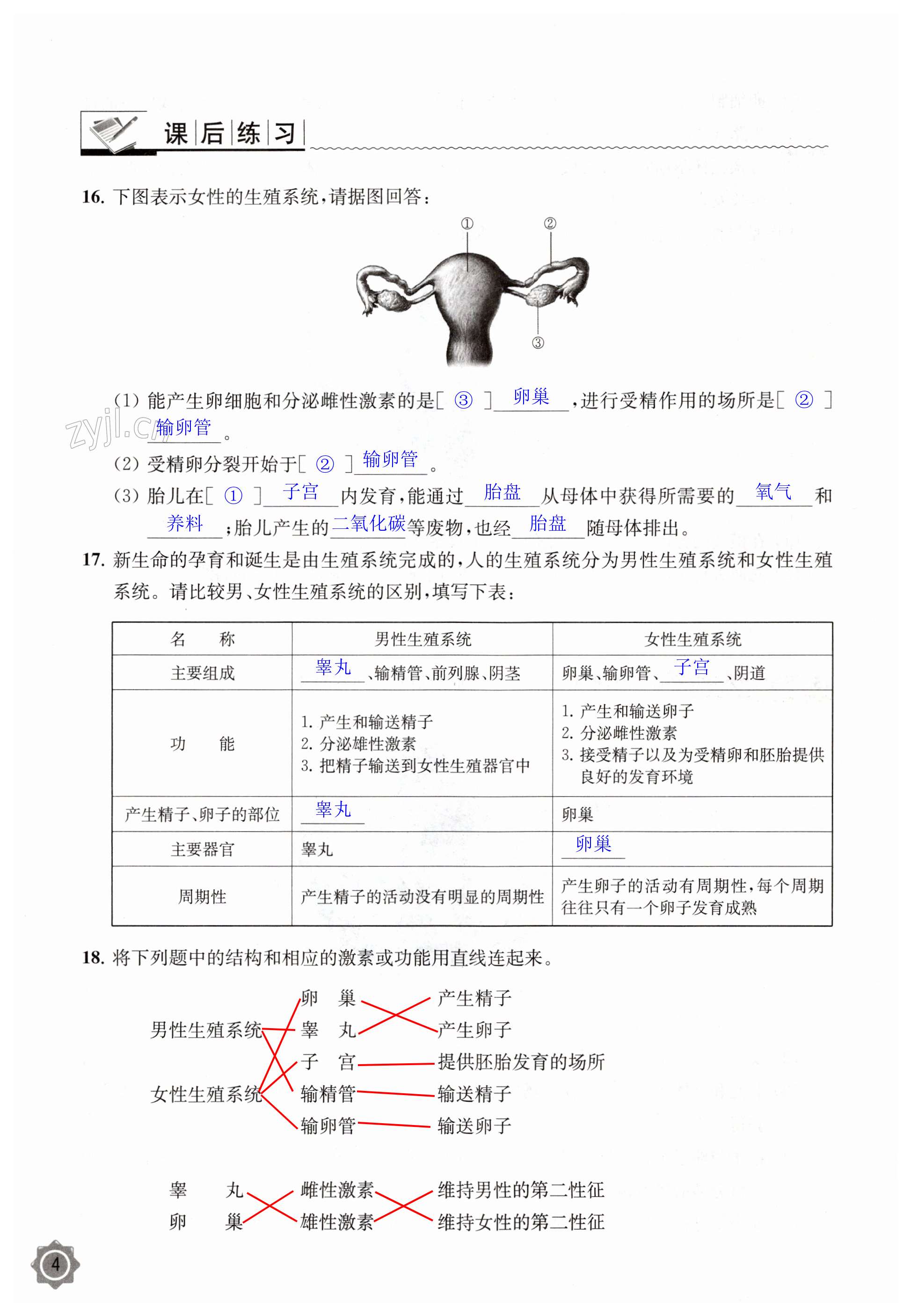 第4页