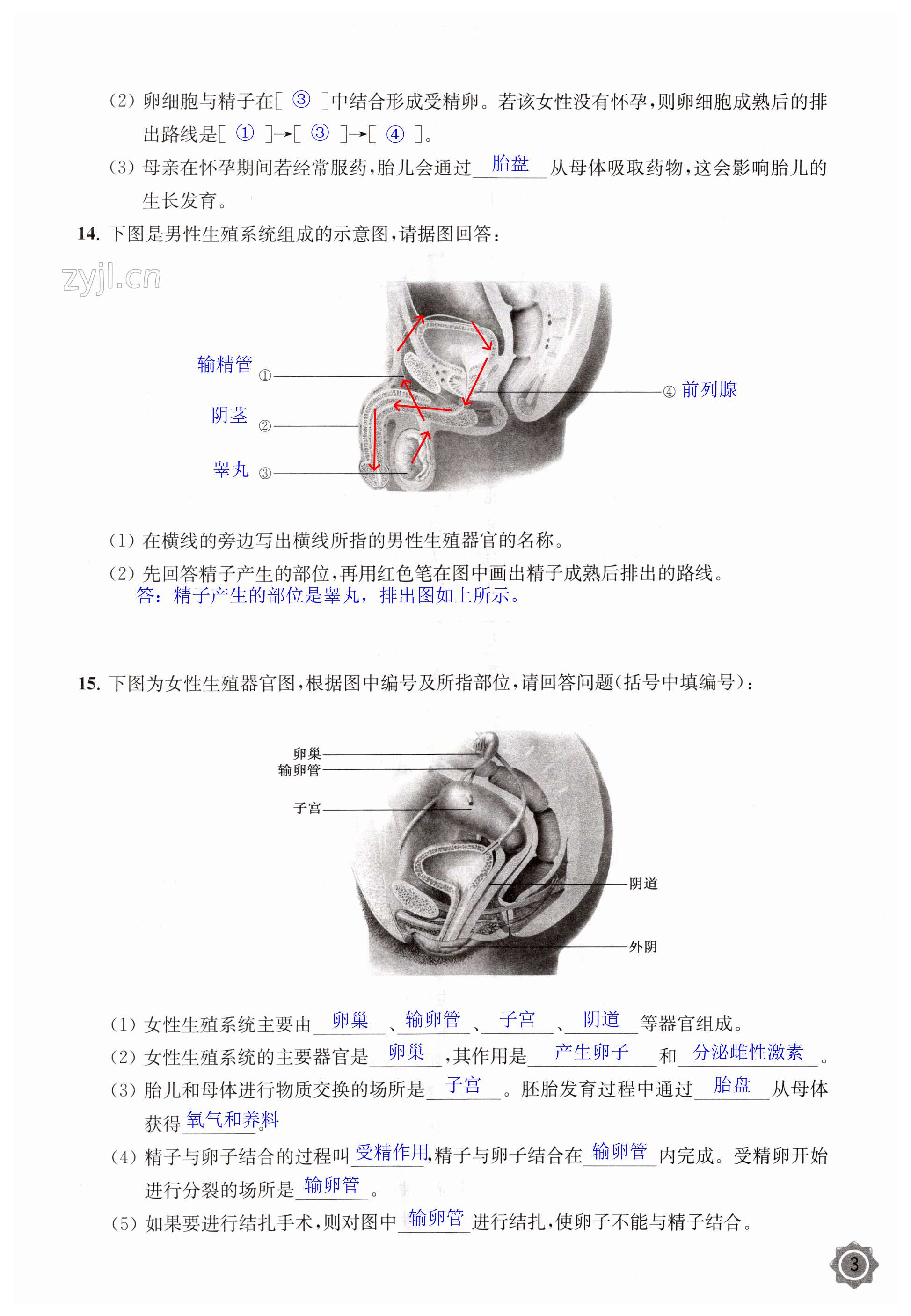 第3页