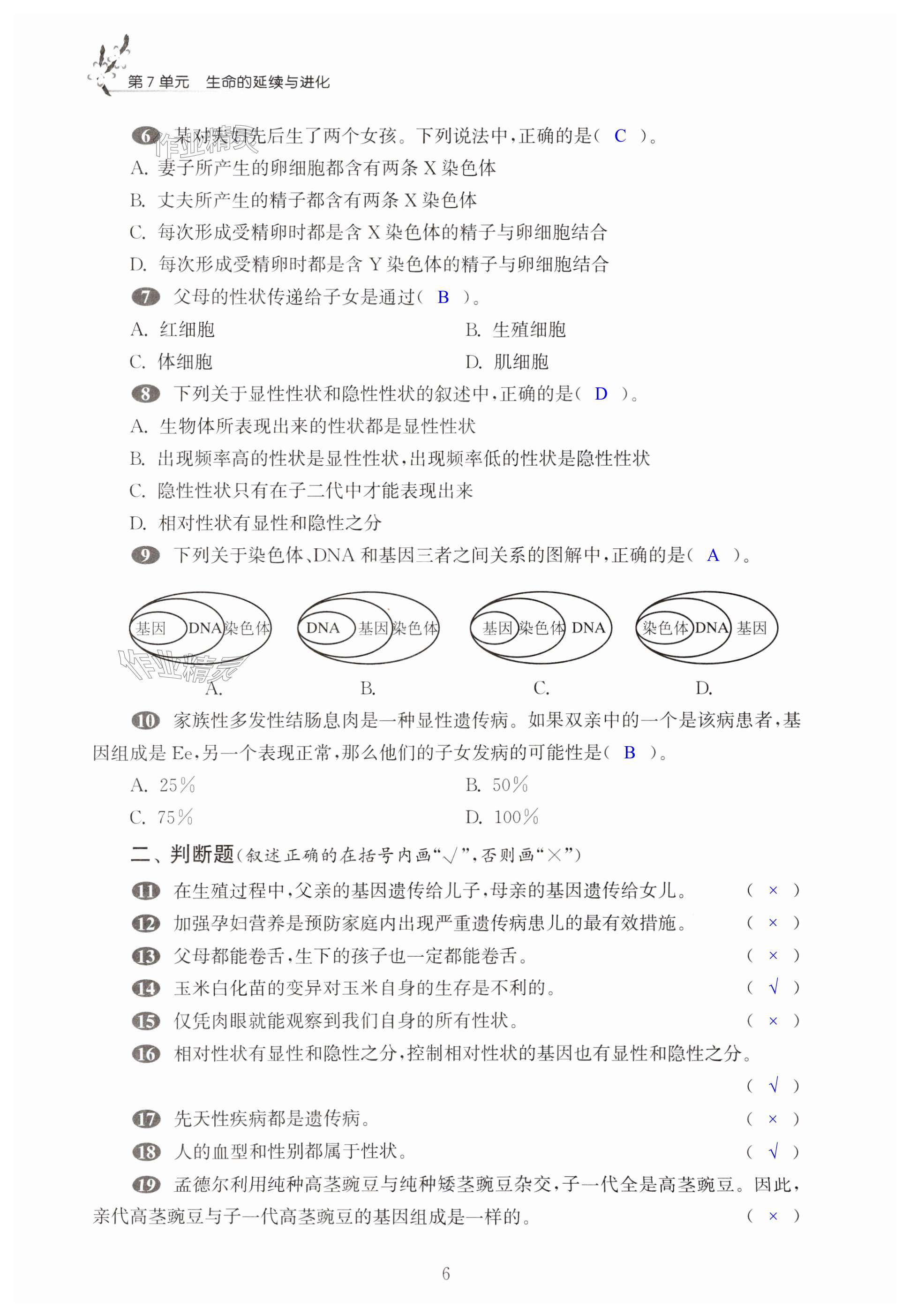 第6頁