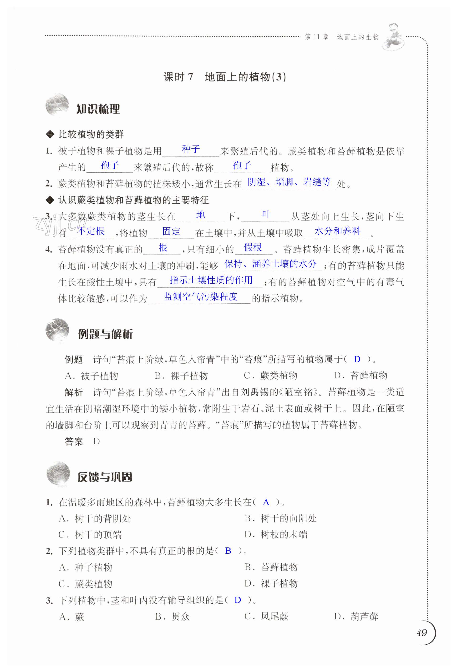 第49页