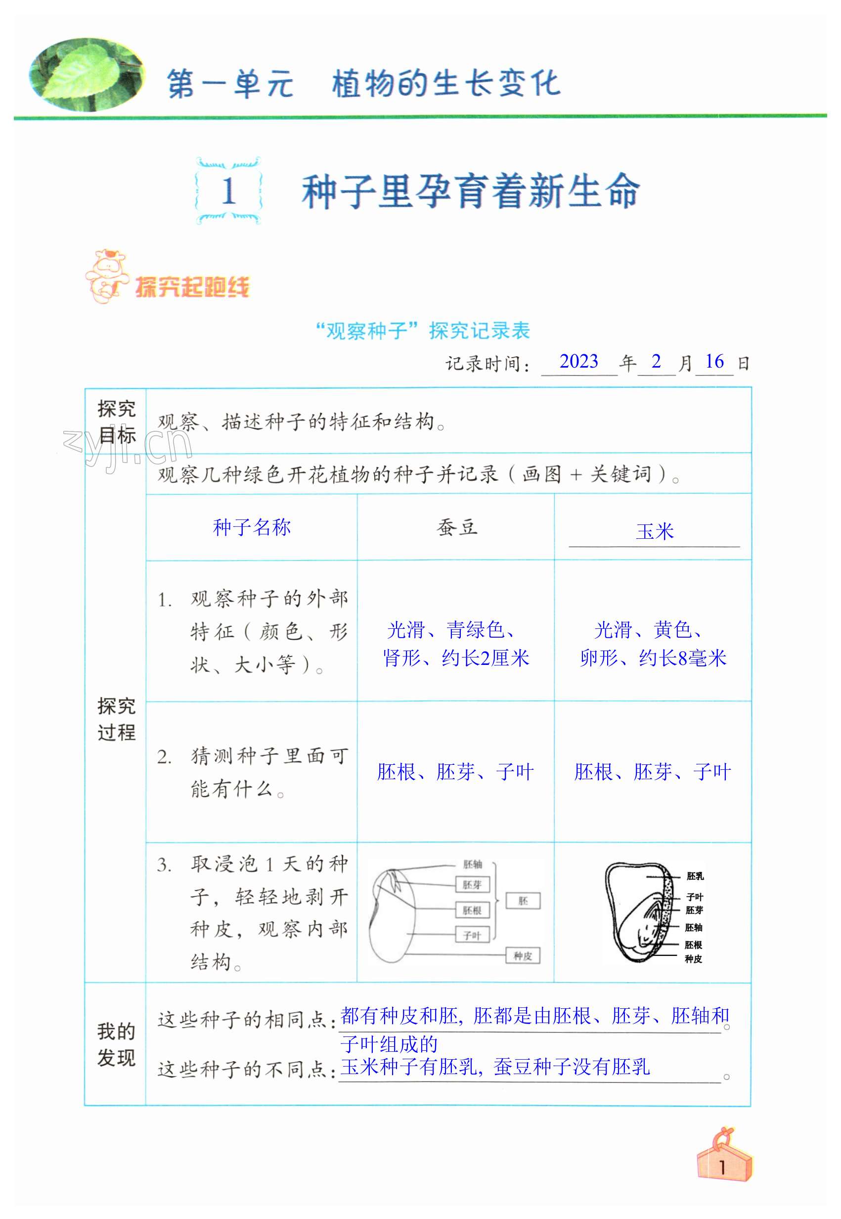 2023年知识与能力训练四年级科学下册教科版 第1页