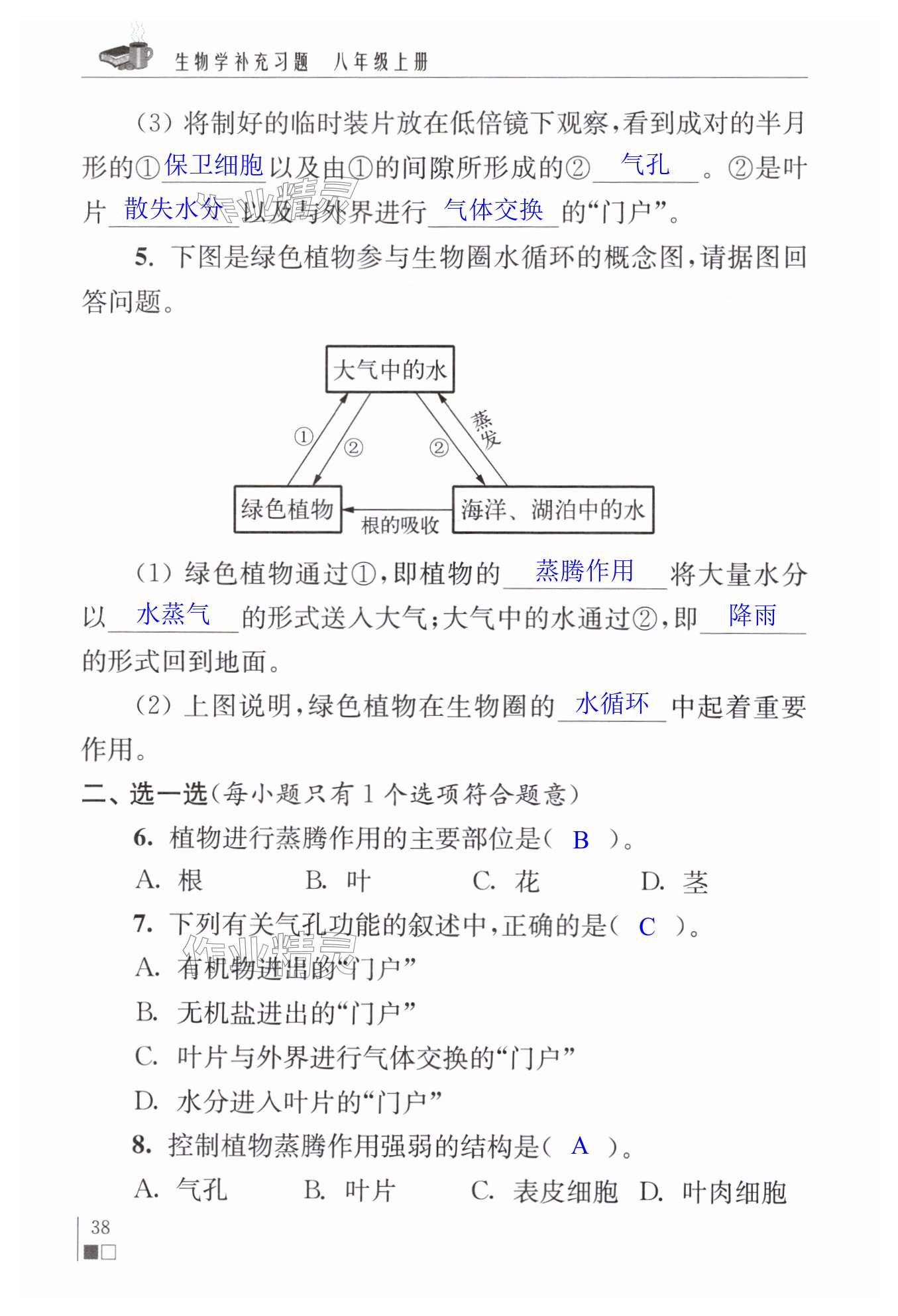 第38頁(yè)