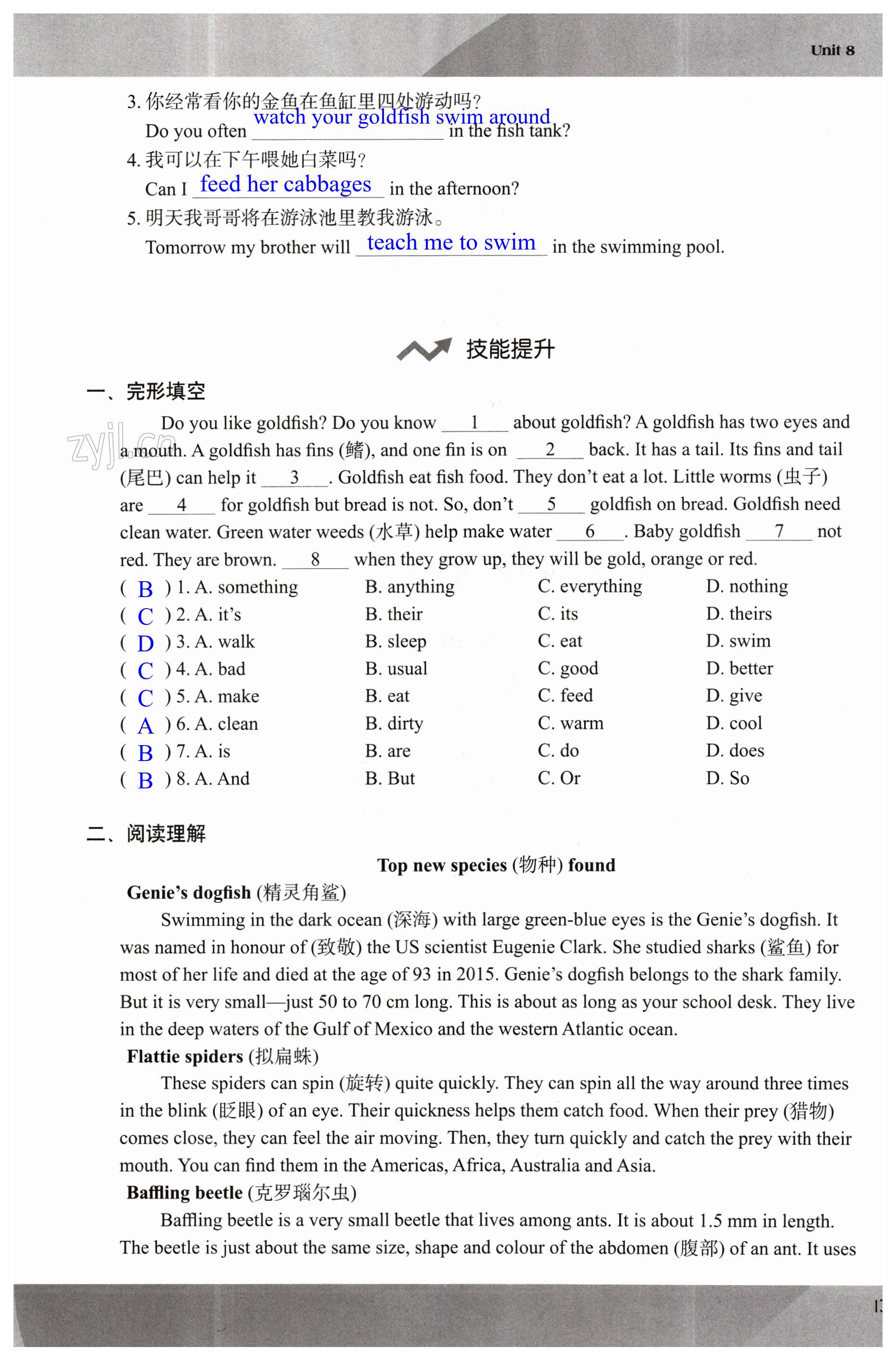 第137頁