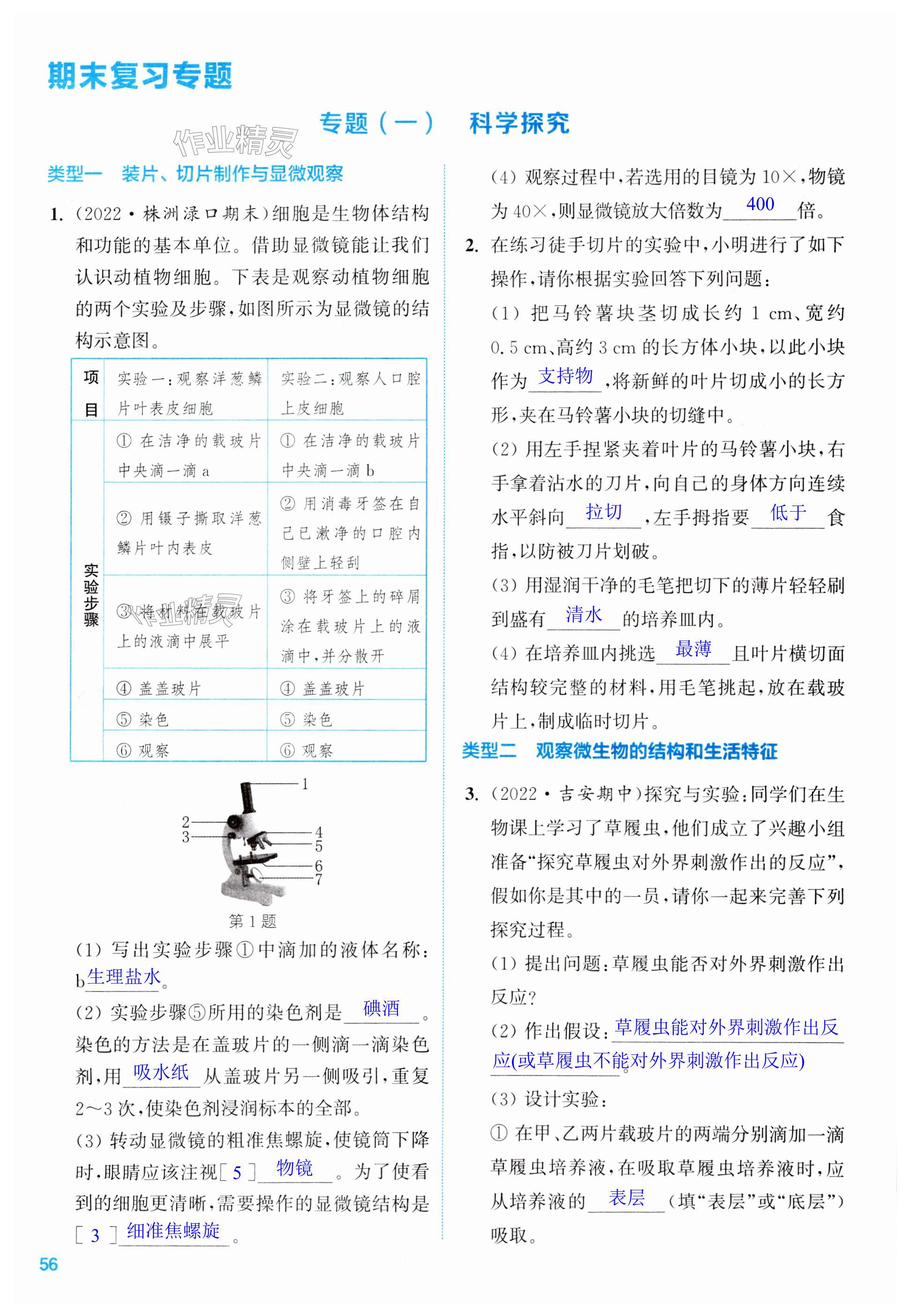 第56頁