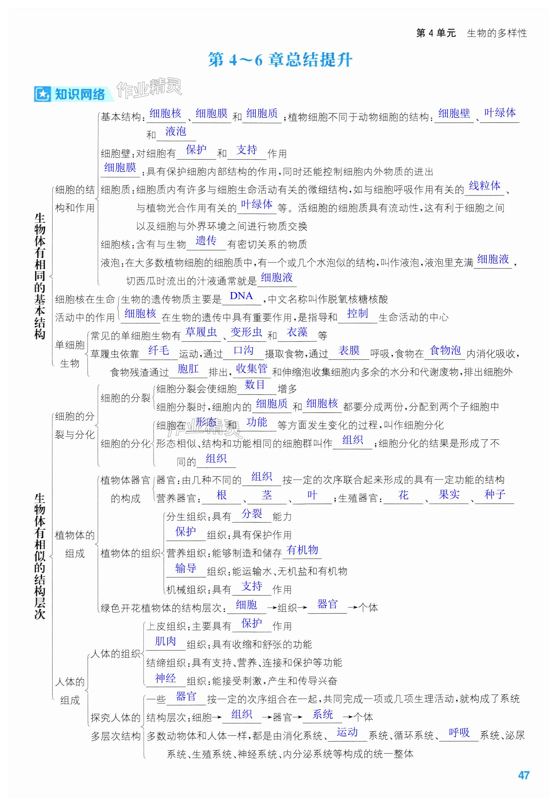 第47頁