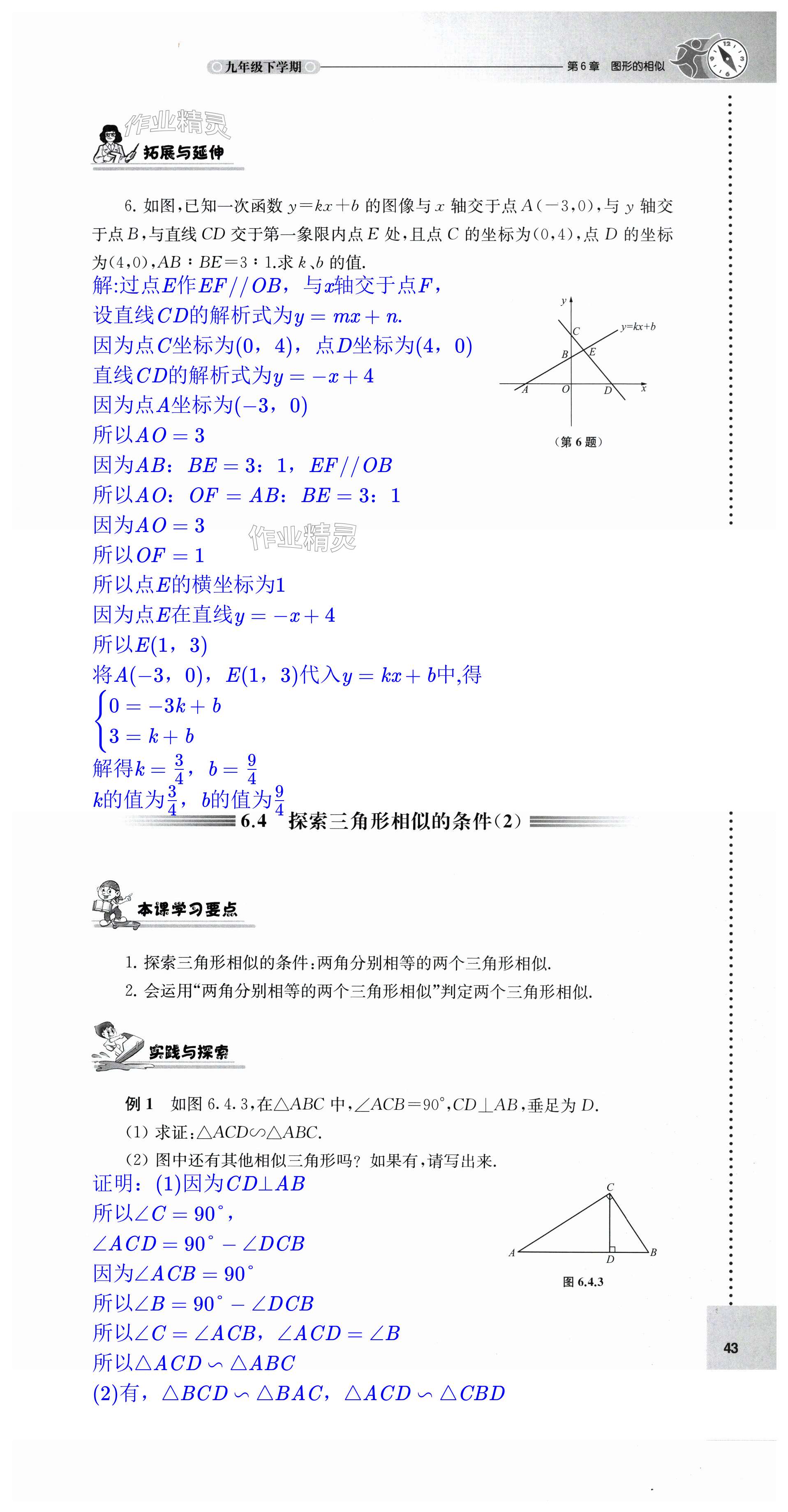 第43頁