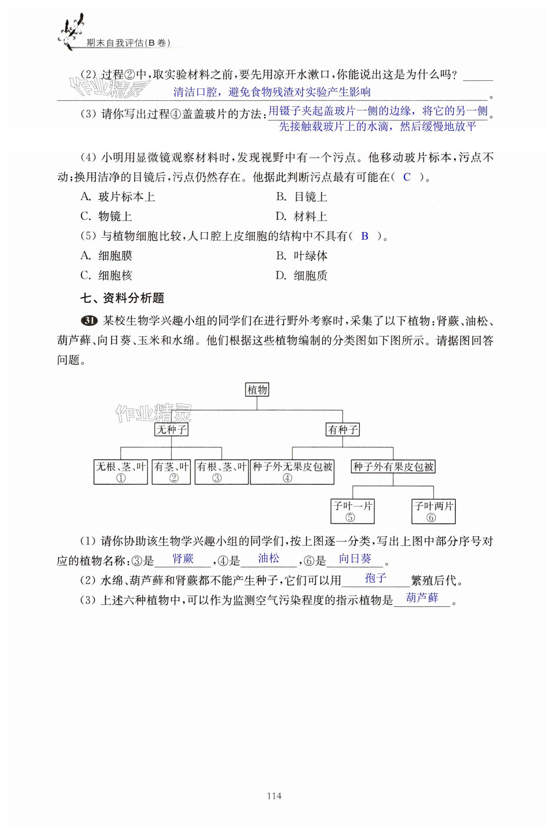 第114頁