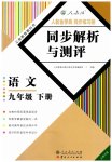 2023年人教金学典同步解析与测评九年级语文下册人教版云南专版