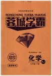 2023年蓉城之星九年级化学下册人教版