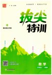 2023年拔尖特训三年级数学上册人教版