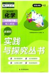 2023年新课程实践与探究丛书九年级化学下册人教版