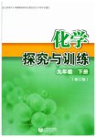 2023年探究与训练九年级化学下册沪教版