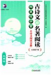 2023年古诗文与名著阅读七年级语文下册人教版