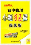 2023年小题狂做九年级物理下册苏科版提优版