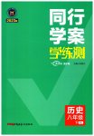 2023年同行学案学练测八年级历史下册人教版