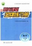 2023年阳光课堂金牌练习册九年级化学上册人教版
